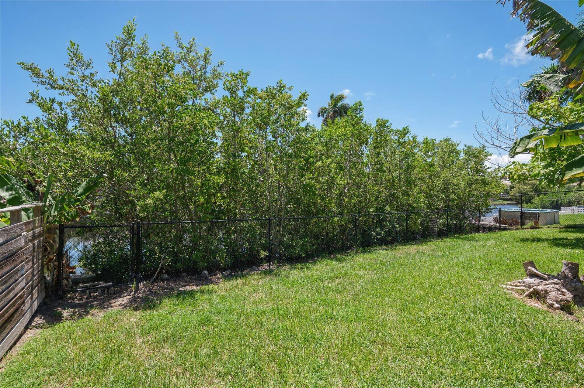 1158 Grant Street, Hollywood, FL 33019 Back yard with mangroves.