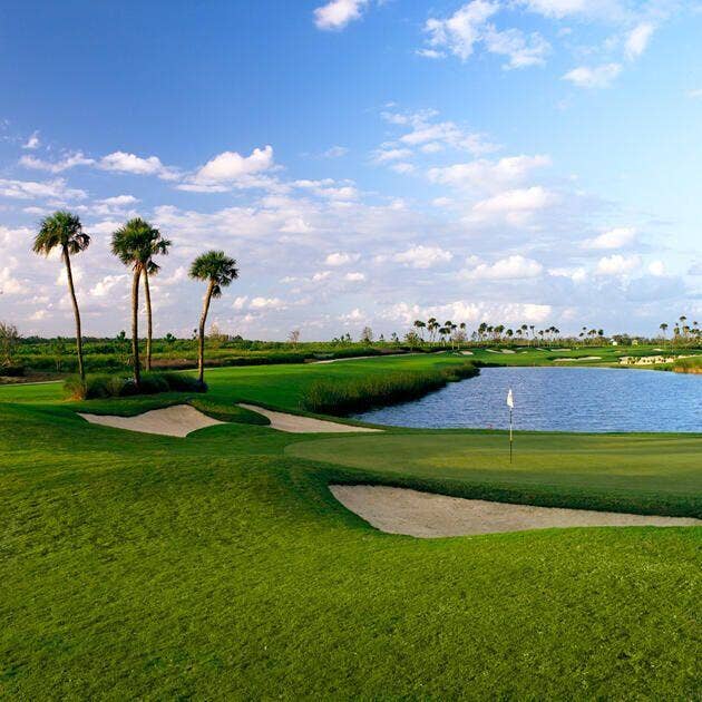 Incredible Local Golf