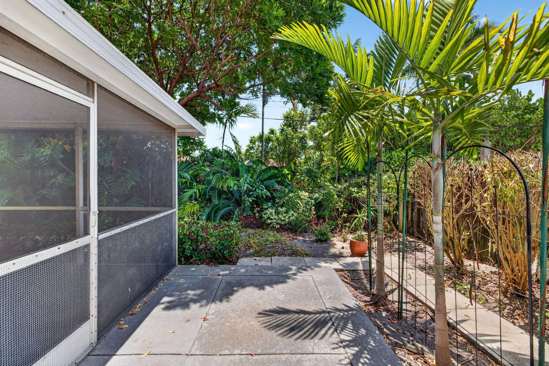 40-web-or-mls-699A9386