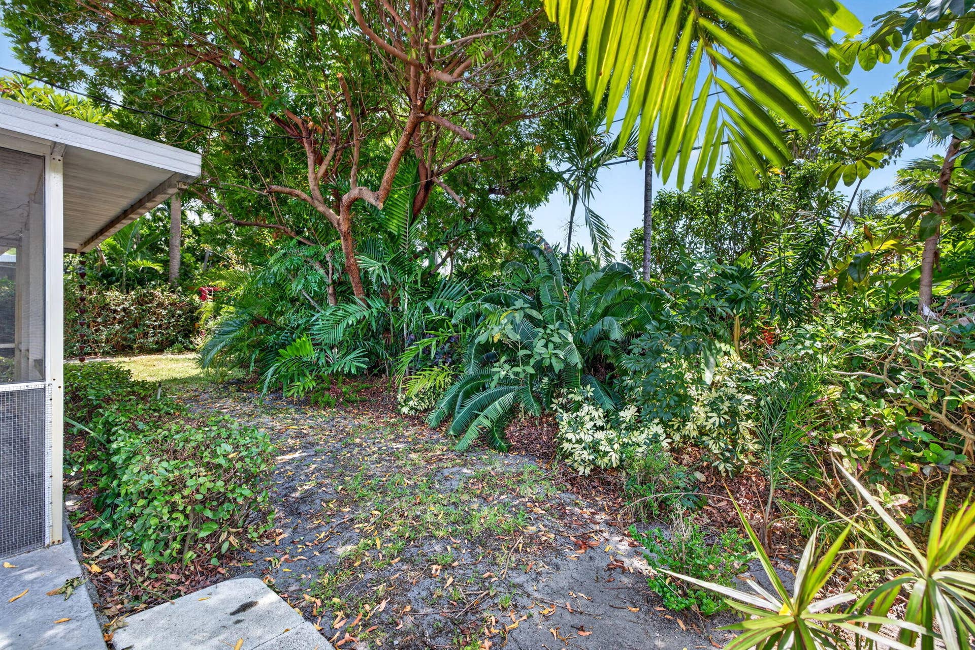 41-web-or-mls-699A9398