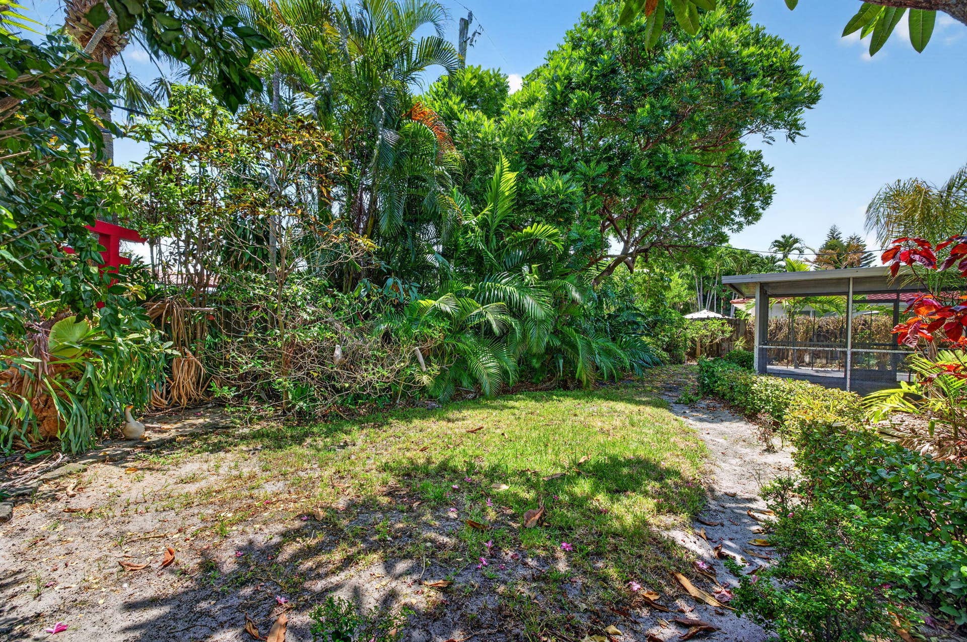46-web-or-mls-699A9456