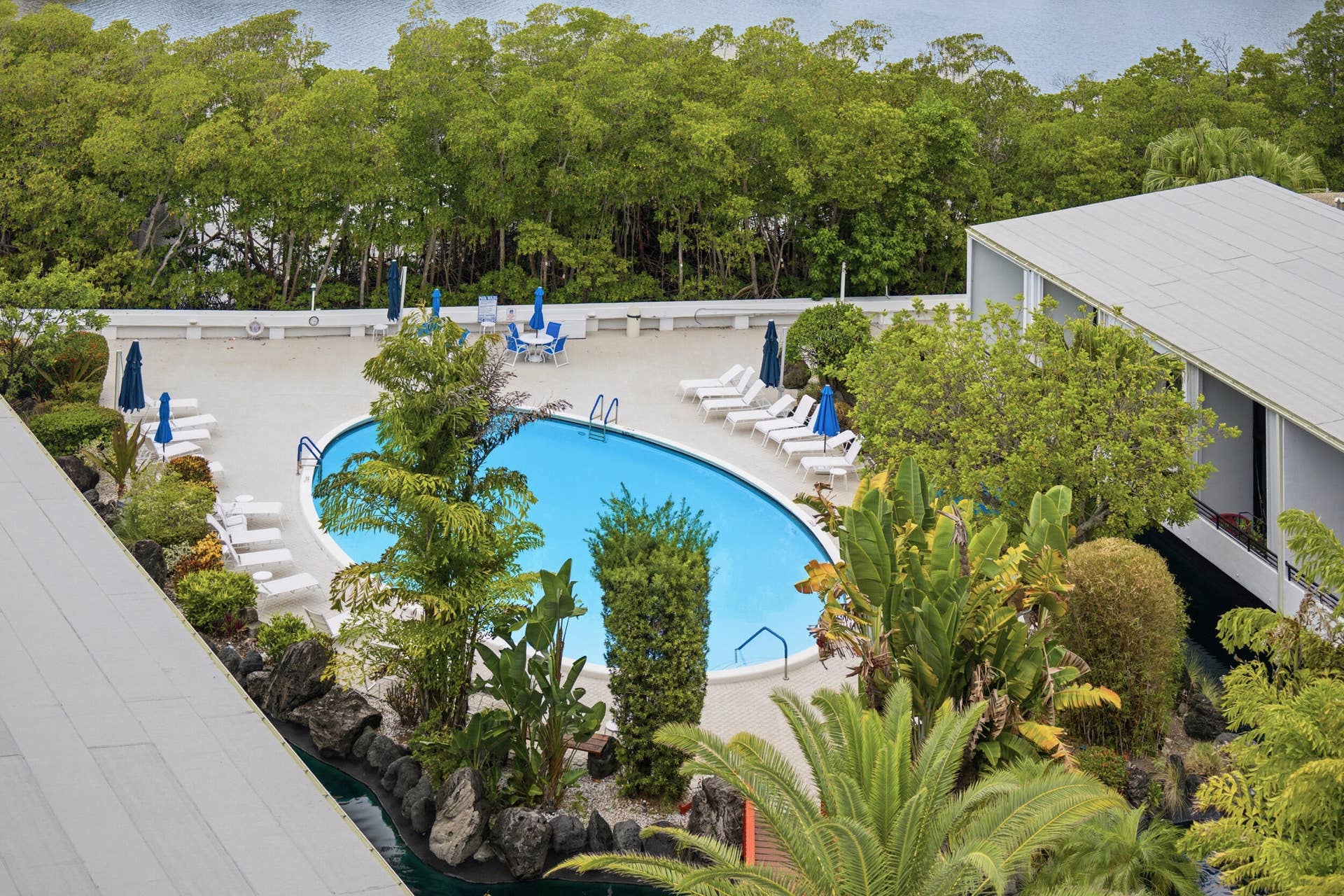 3589 S Ocean Boulevard, #808, South Palm Beach, FL 33480 Resort-style pool area featuring an irregularly shaped pool, surrounding deck, and extensive tropical landscaping