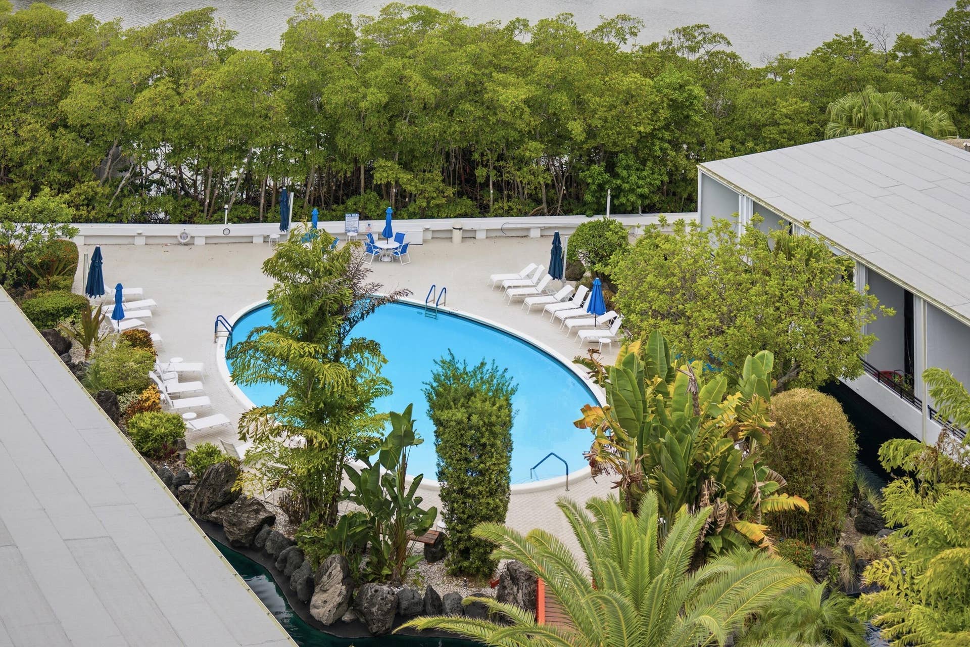 3589 S Ocean Boulevard, #808, South Palm Beach, FL 33480 Curved swimming pool with ample lounge seating on a paved deck