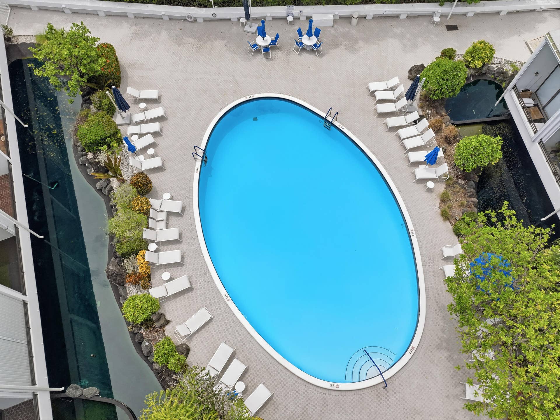 3589 S Ocean Boulevard, #808, South Palm Beach, FL 33480 Oval-shaped pool with a light-colored paved deck surround