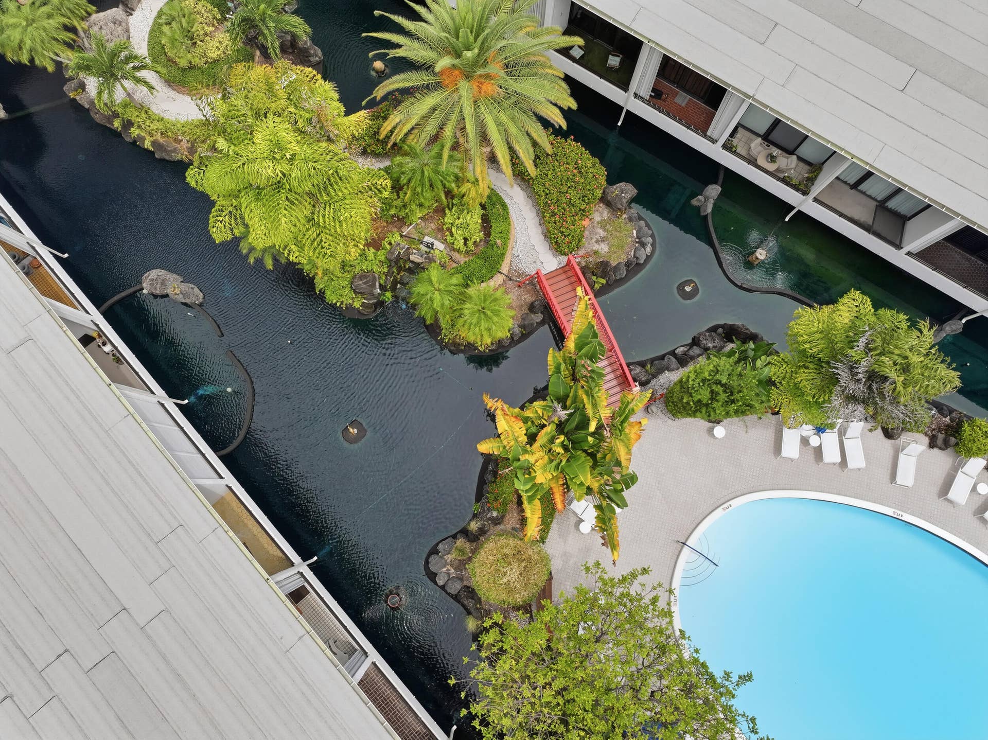 3589 S Ocean Boulevard, #808, South Palm Beach, FL 33480 Landscaped water features with a red pedestrian bridge, tropical plantings, and a curved swimming pool