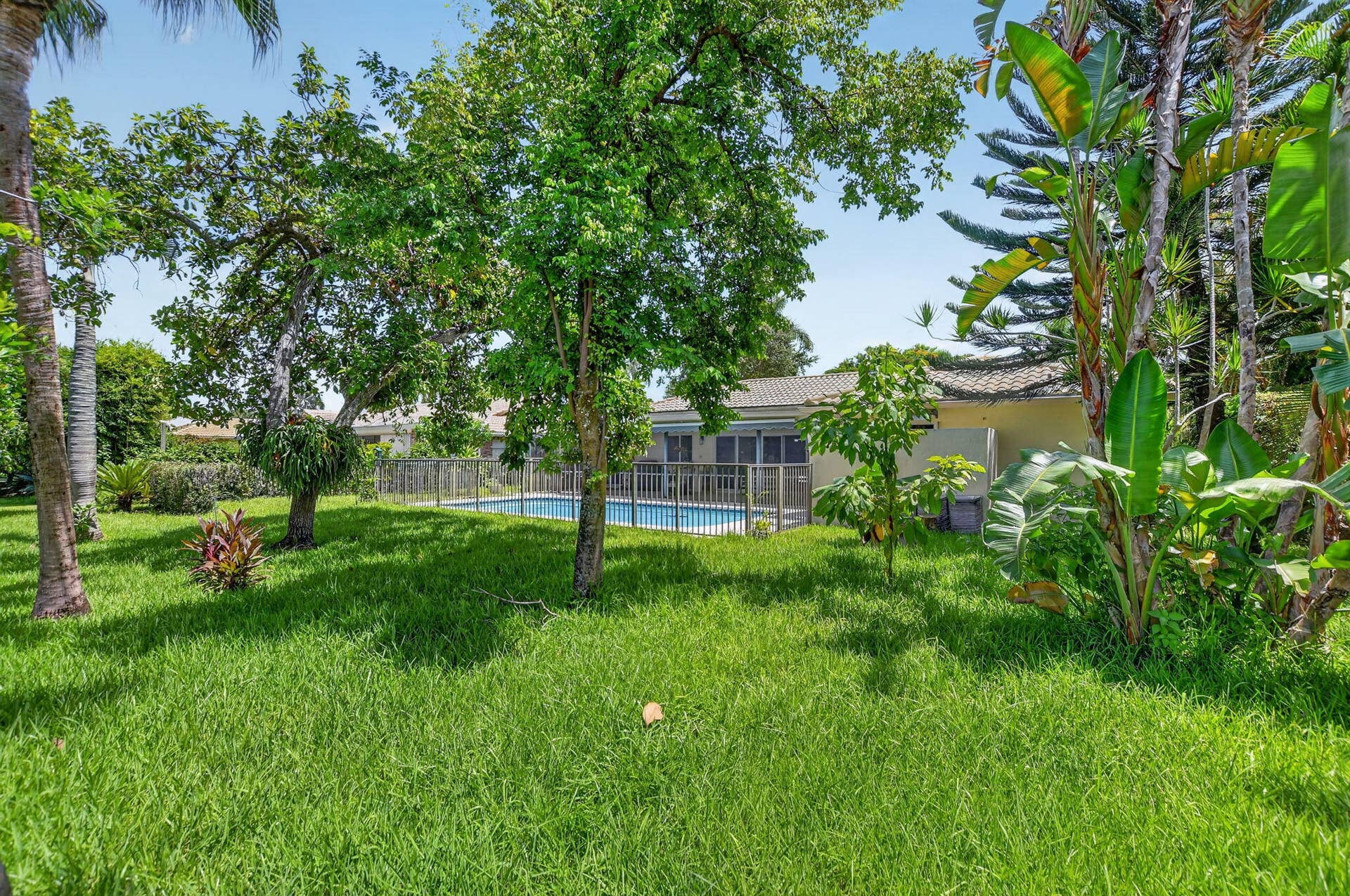 Expansive green lawn with mature trees and tropical landscaping