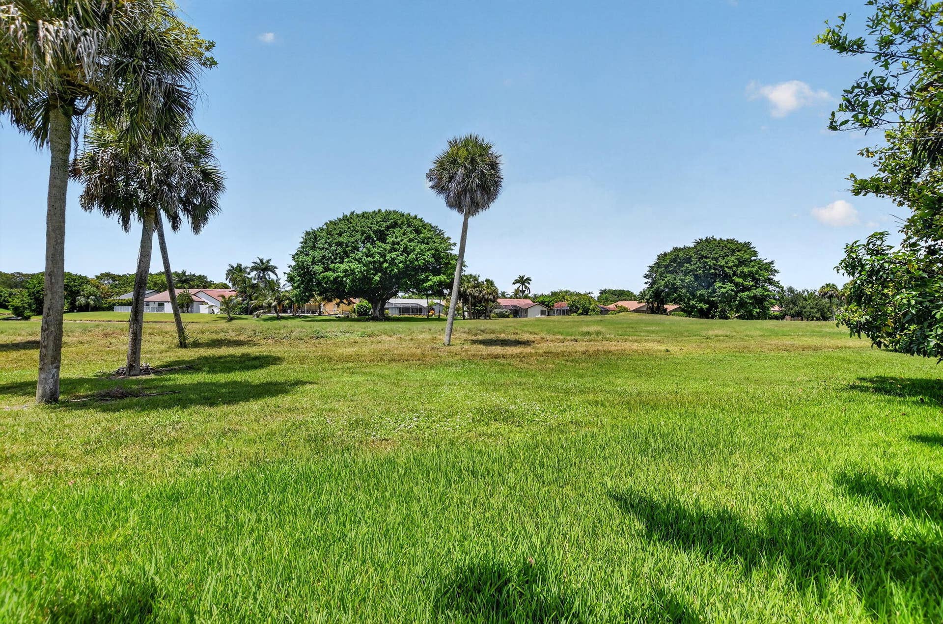 Expansive green space with mature palm trees and lush foliage