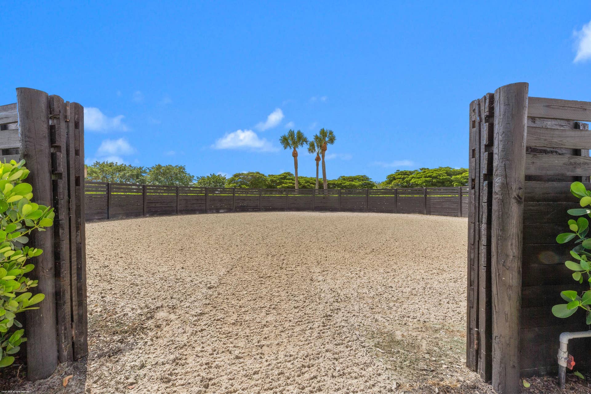 3382 Grand Prix Farms Drive N, Wellington, FL 33414 Round Pen