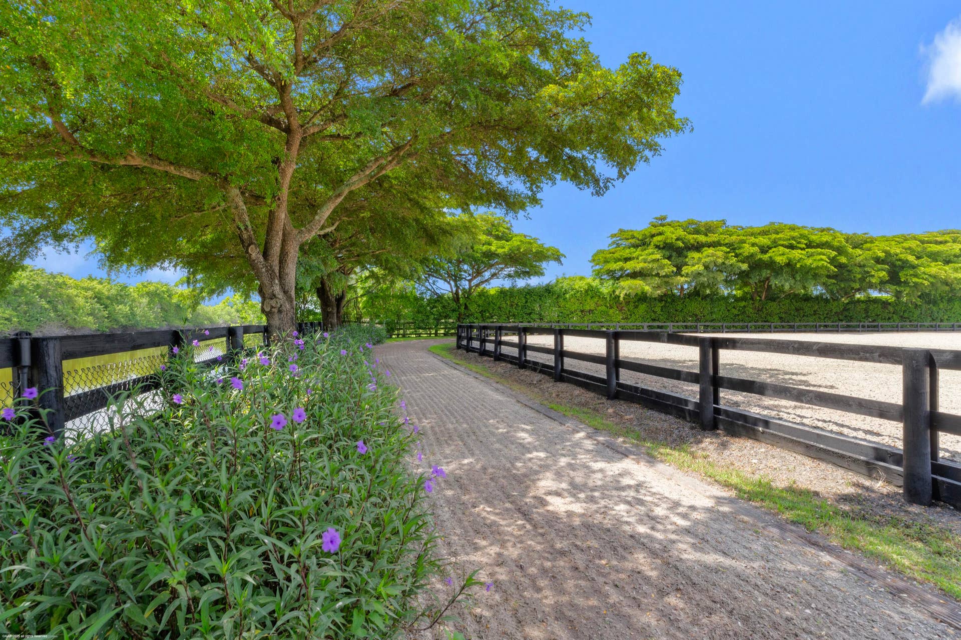 3382 Grand Prix Farms Drive N, Wellington, FL 33414 Riding Track around the arena and Field
