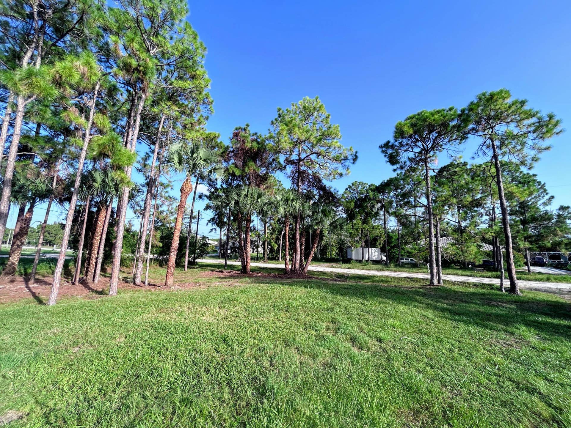 Front Yard