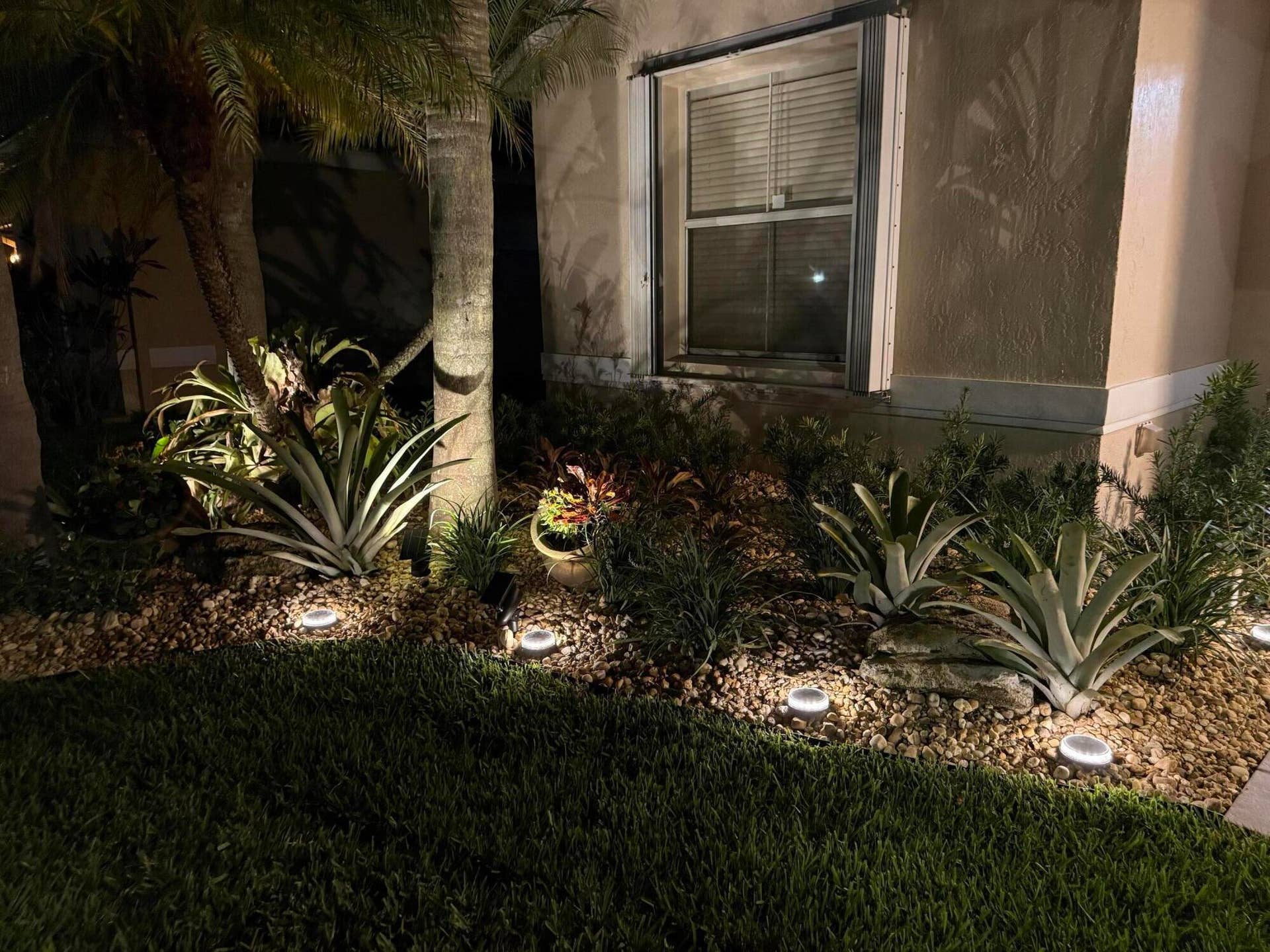 Krauss night time flower bed