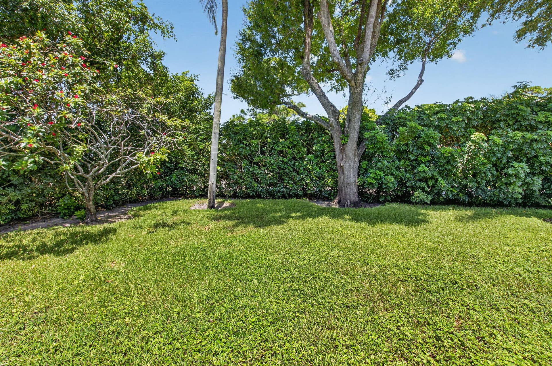 13275 ROYALE SABAL Court, Delray Beach, FL 33484 Backyard