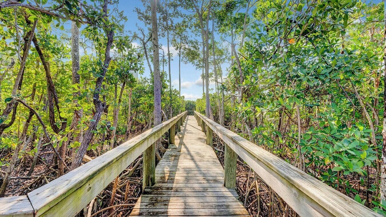 3200 S Ocean Boulevard, #302, Highland Beach, FL 33487 6fa05203-aafa-4b11-ab3e-a3799391fa12