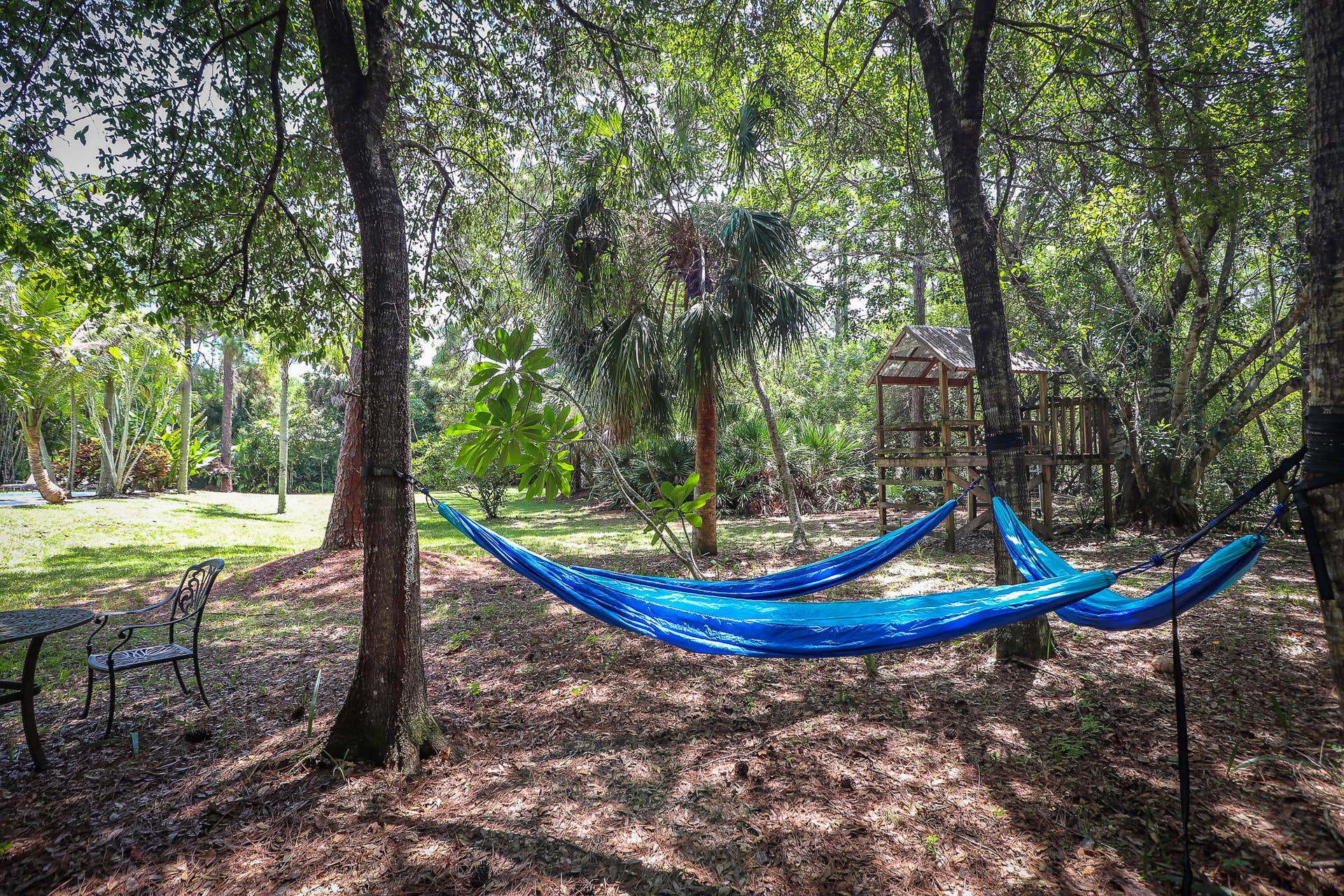 8166 150th Court N, Palm Beach Gardens, FL 33418 55-Back yard