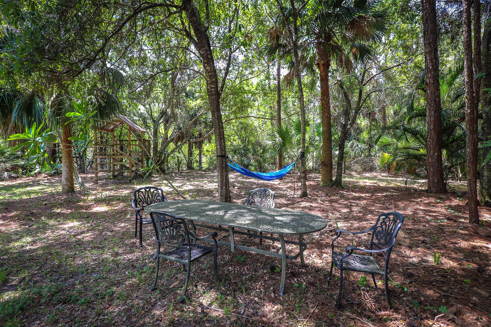 8166 150th Court N, Palm Beach Gardens, FL 33418 54-Back yard