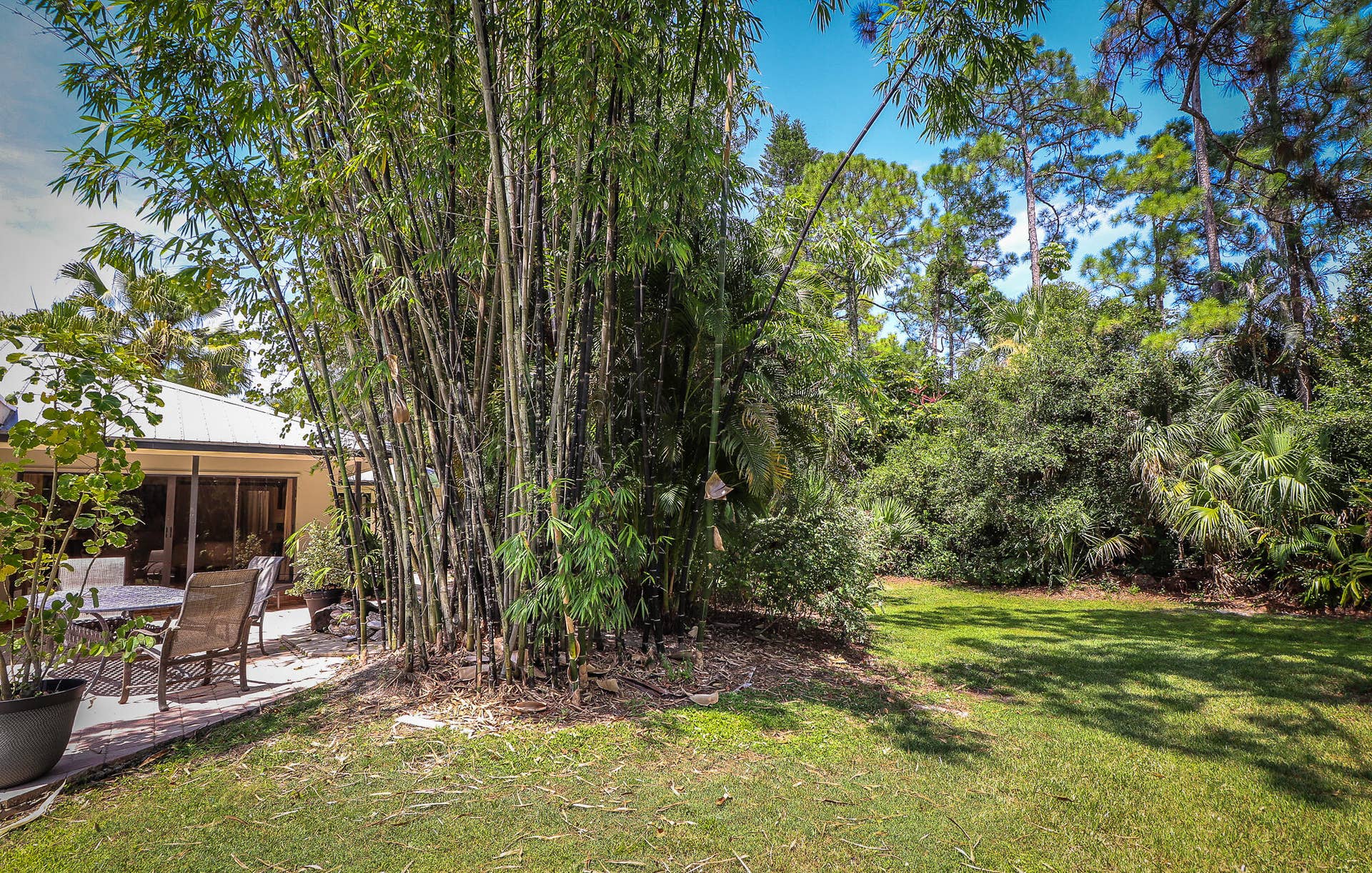 8166 150th Court N, Palm Beach Gardens, FL 33418 56-Back yard