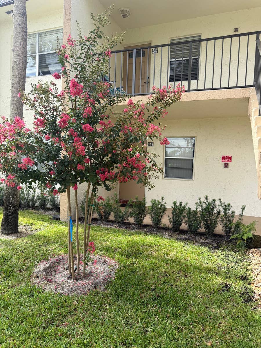 Property photo for 150 Lake Meryl Drive, #247, West Palm Beach, FL