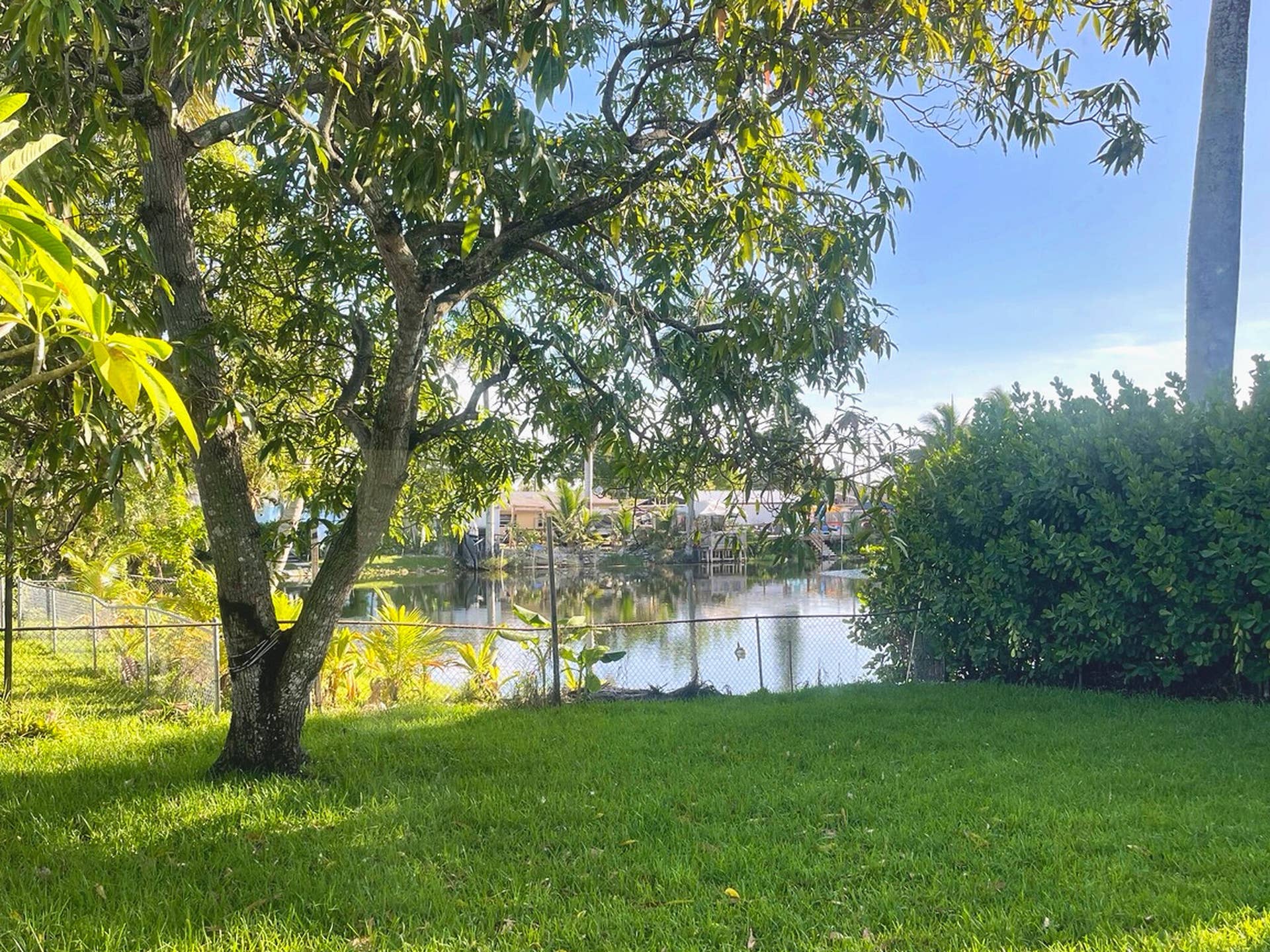 4329 SW 49TH Court, Dania Beach, FL 33314 06_Backyard_Waterfront_Tree_View