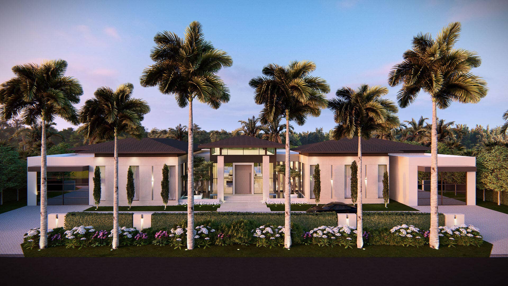 458 ARECA PALM__1