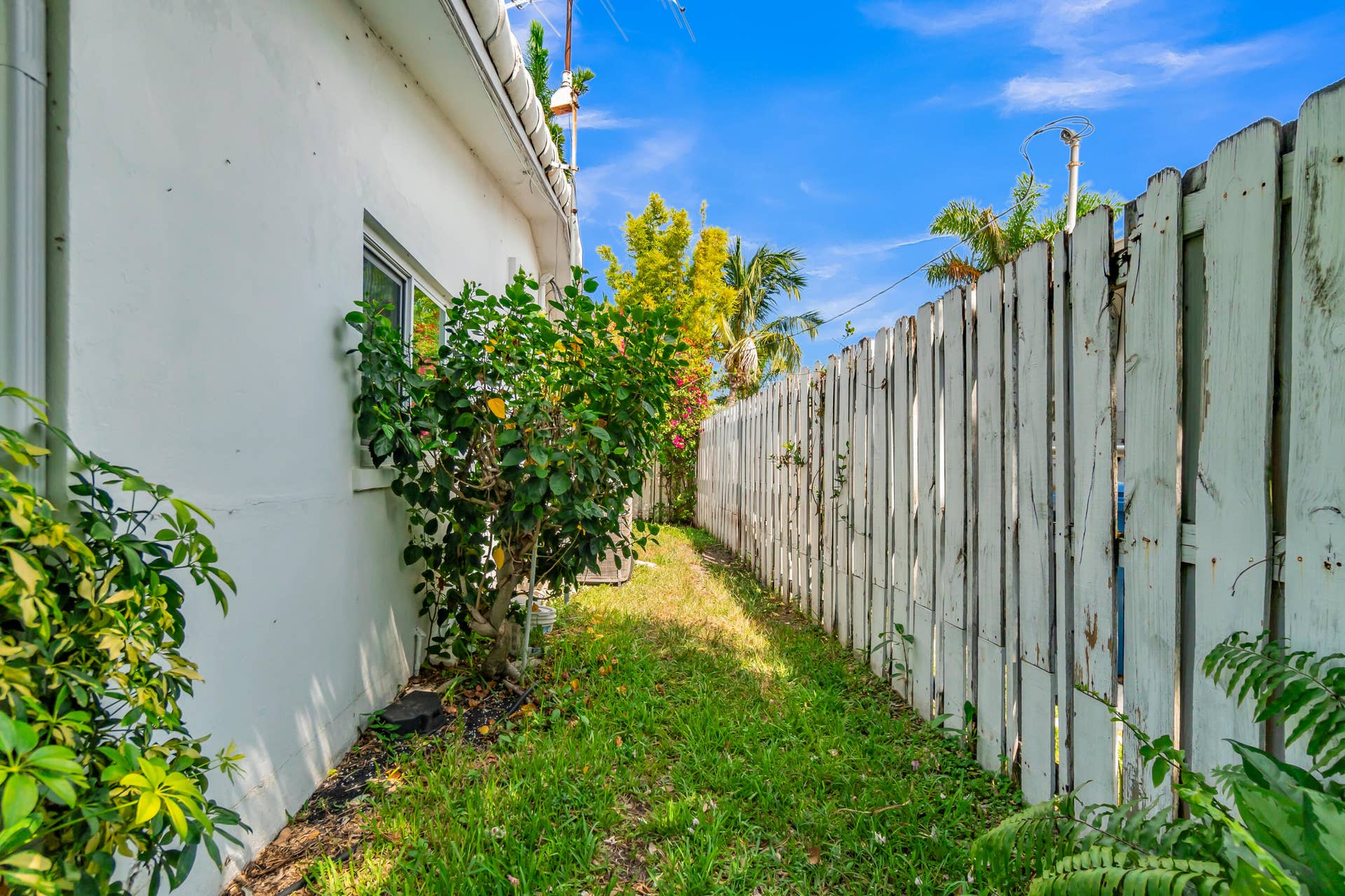 4221 NE 16th Avenue, Oakland Park, FL 33334 IMG_9002