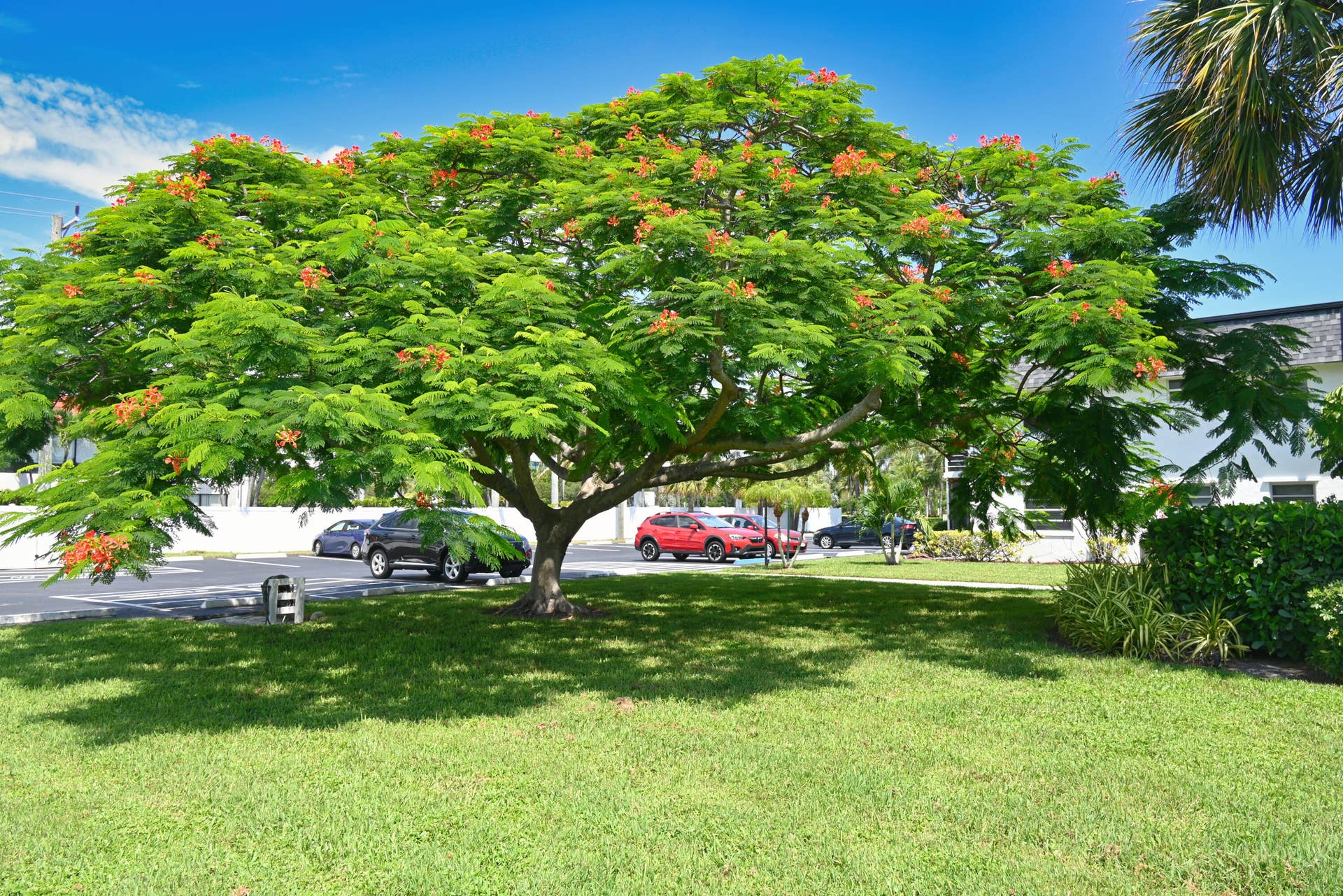 1100 E INDIANTOWN Road, #113, Jupiter, FL 33477 NZ5_5141