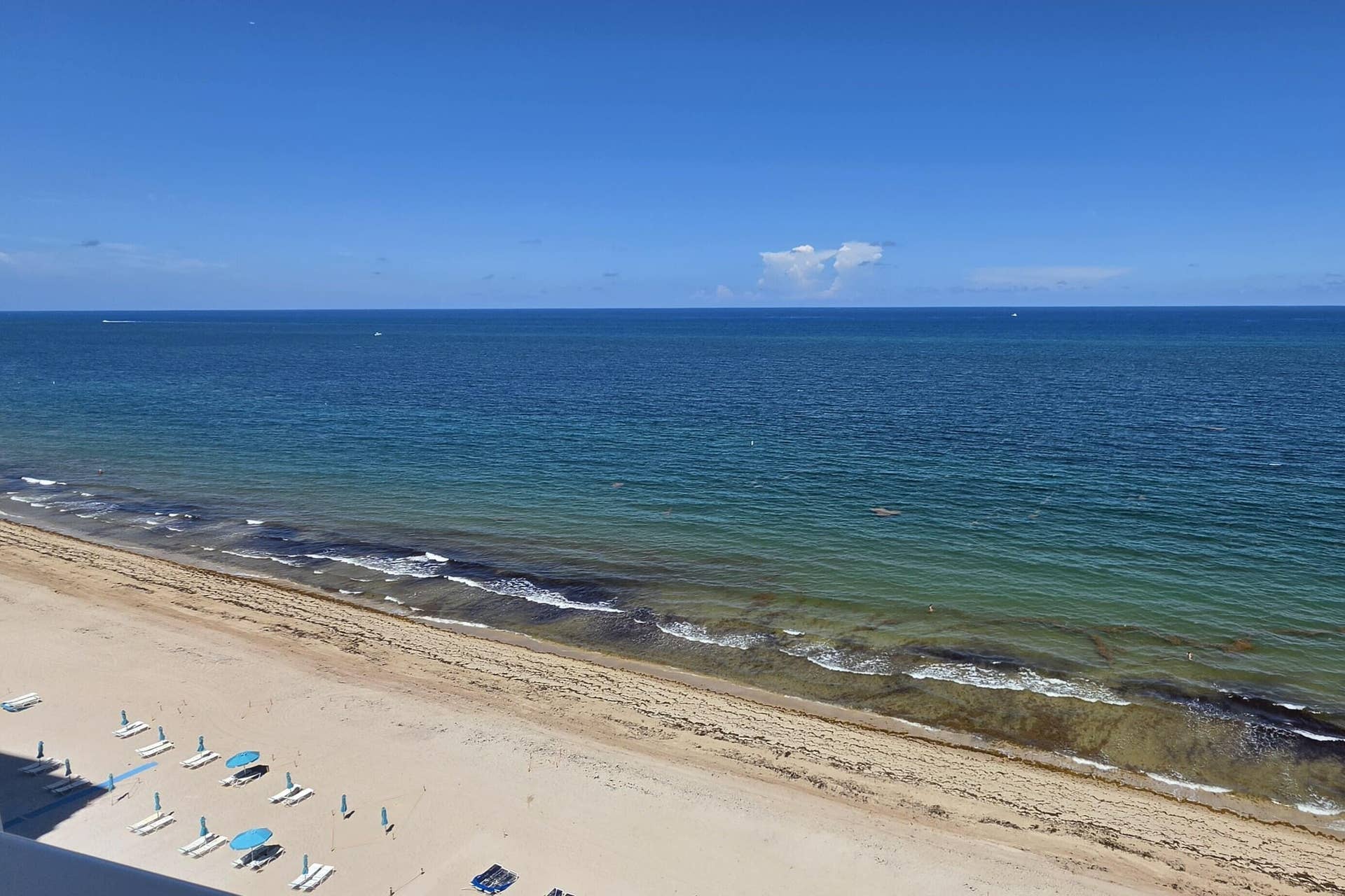 IMG-20260811-WA0136