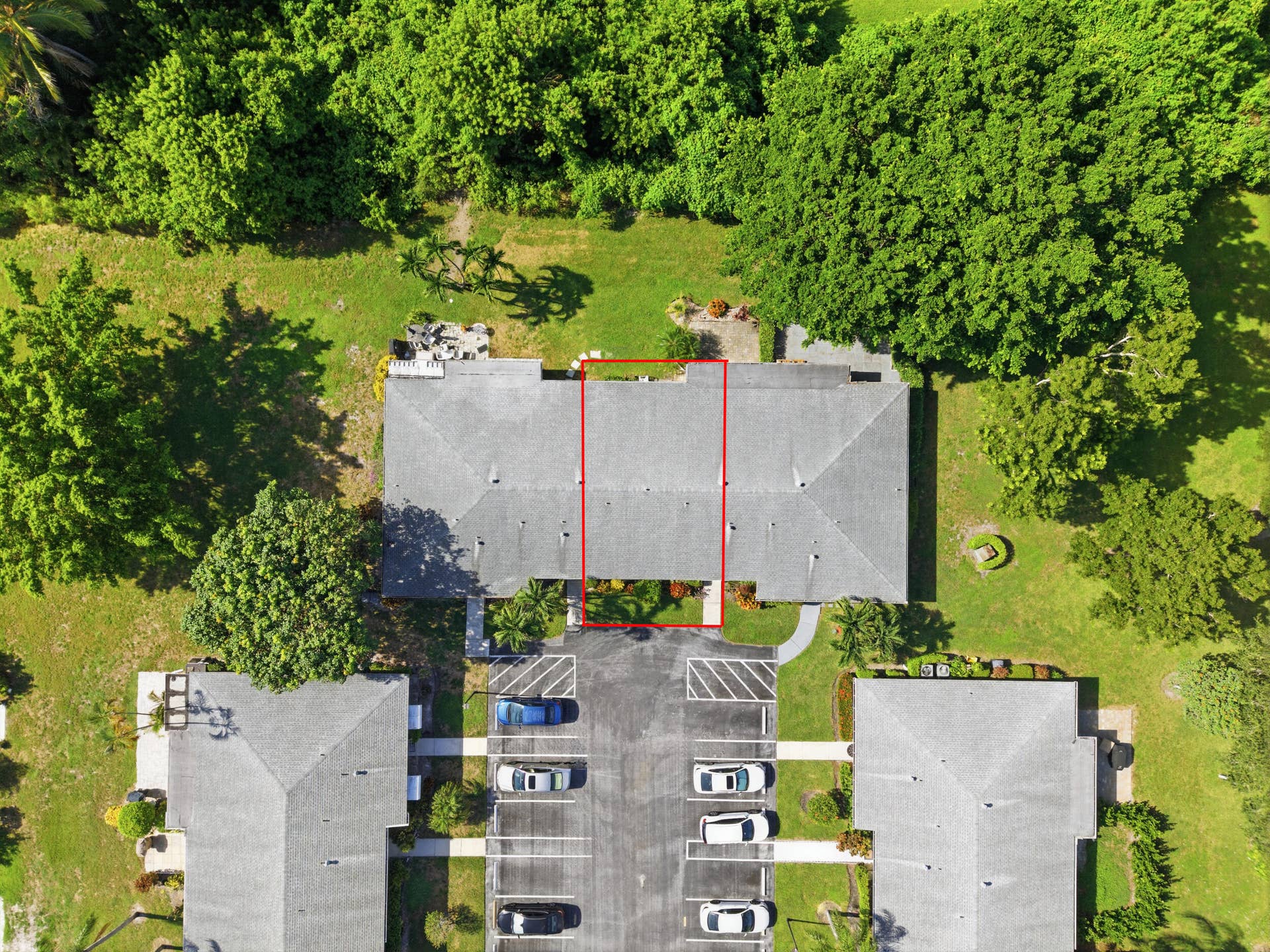 41_dji_20260812100707_0231_d_line