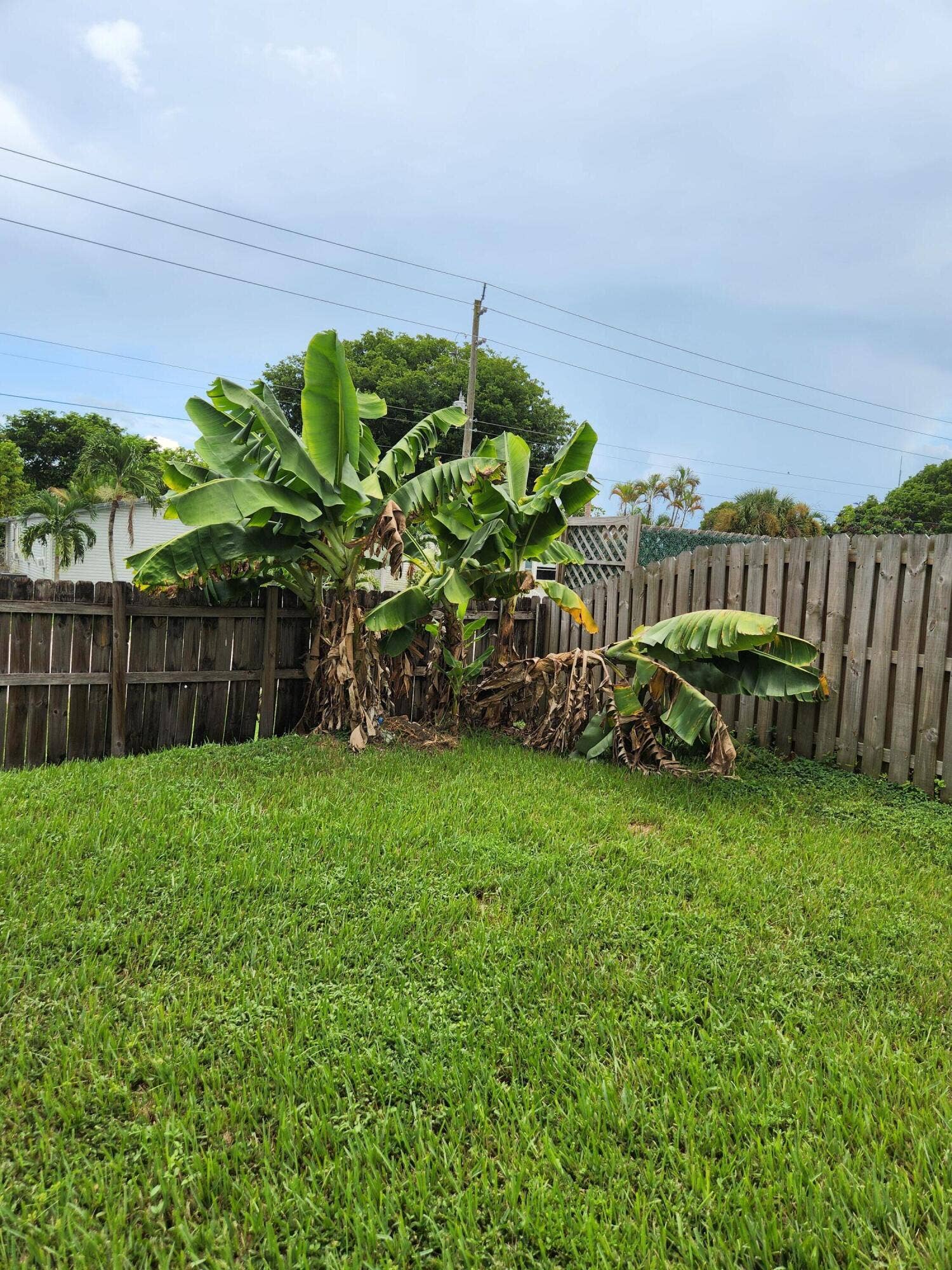 1000 SW 133RD Terrace, Davie, FL 33325 Backyard Fenced