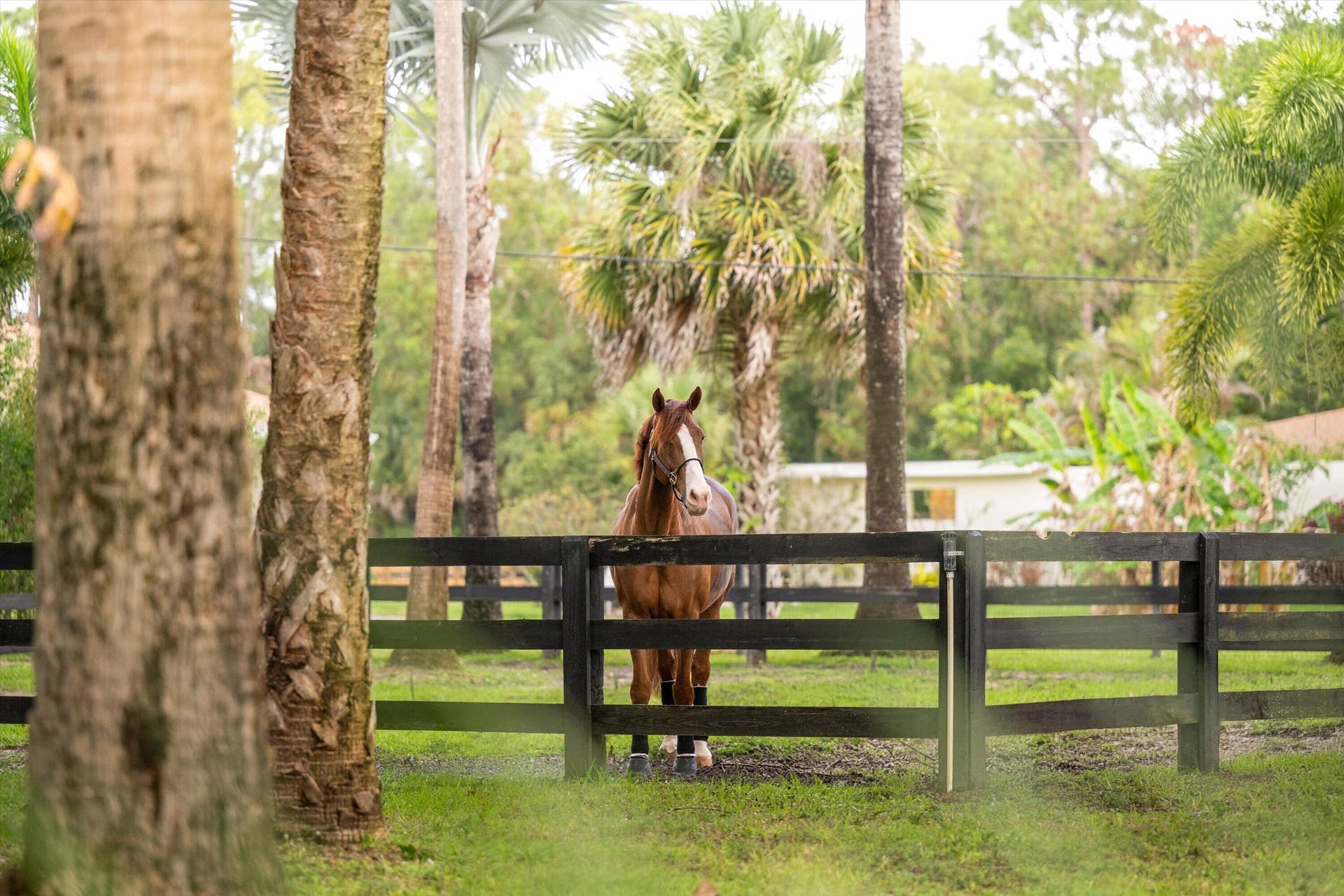 1037 & Tbd F Road, Loxahatchee Groves, FL 33470 1037 & TBD F Road, Loxahatchee Groves