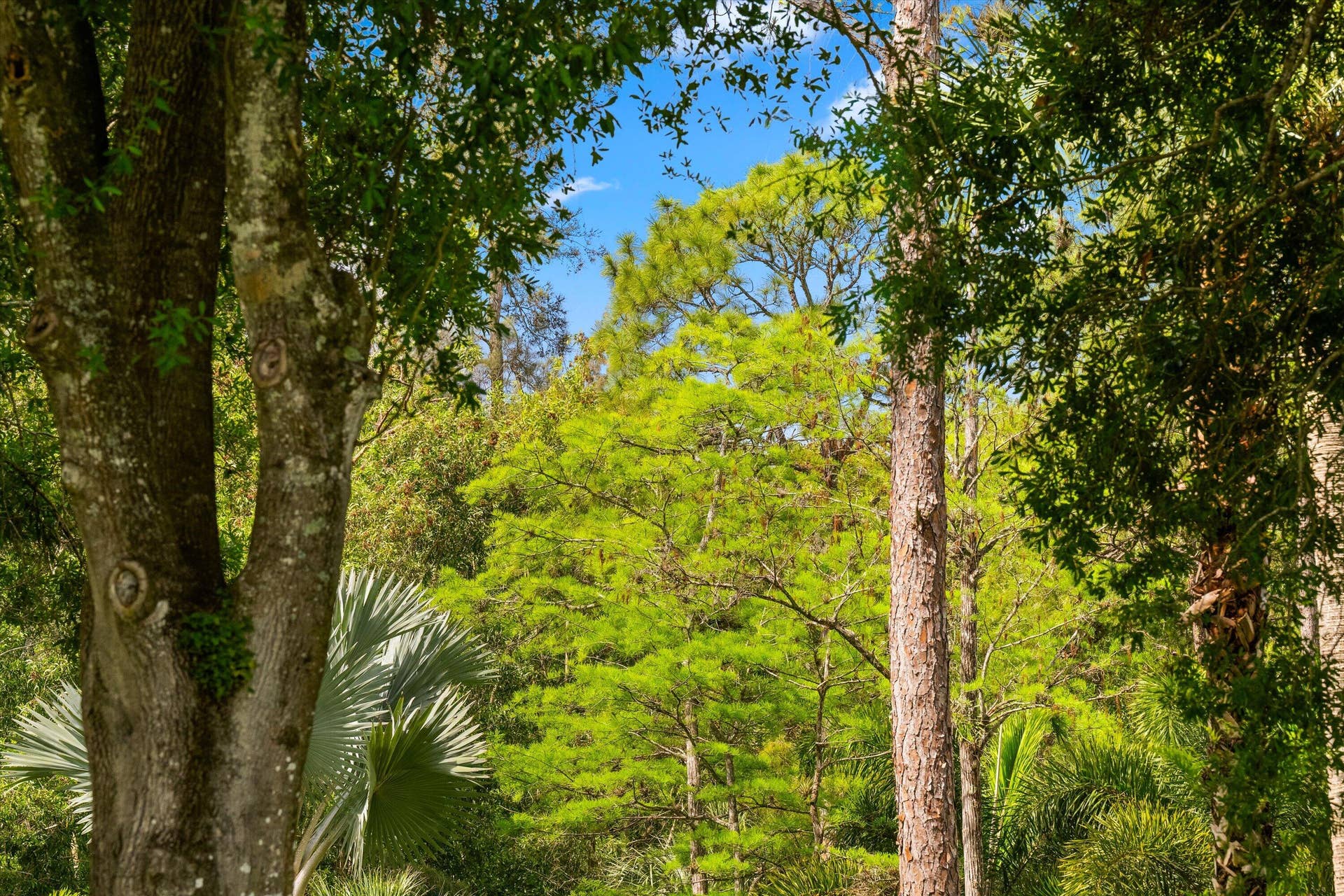1037 & Tbd F Road, Loxahatchee Groves, FL 33470 1037 & TBD F Road, Loxahatchee Groves