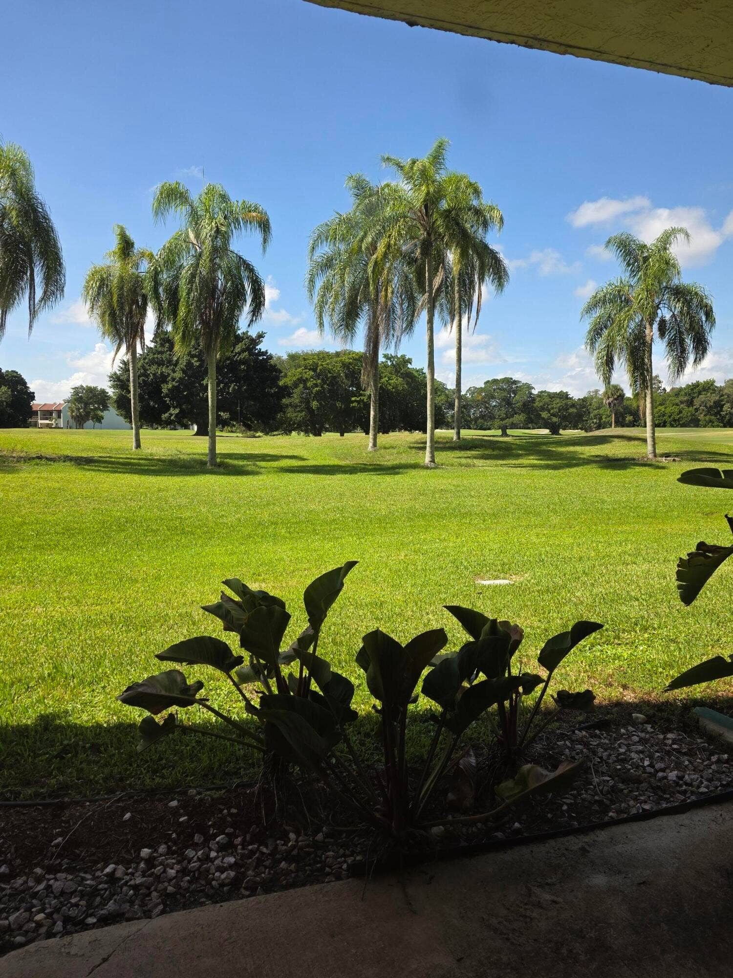 16300 Golf Club Road, #314, Weston, FL 33326 1048523