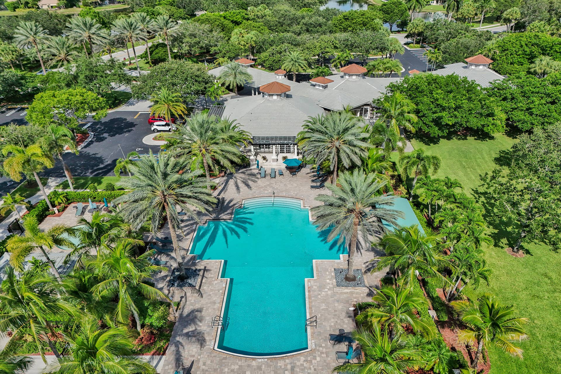 Expansive outdoor pool with a stone paver deck, surrounded by mature palm trees and lush landscaping