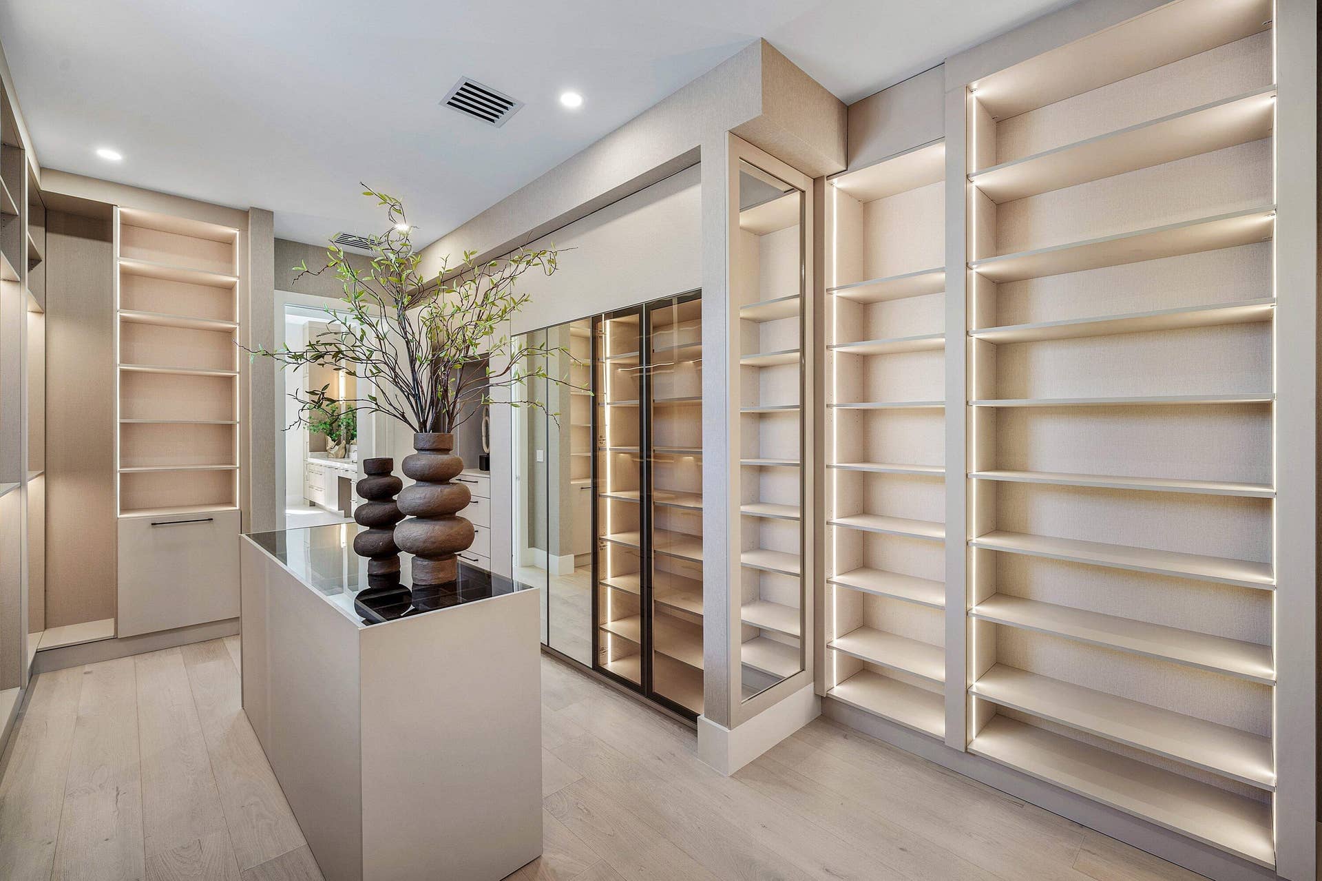 Primary Closet 2