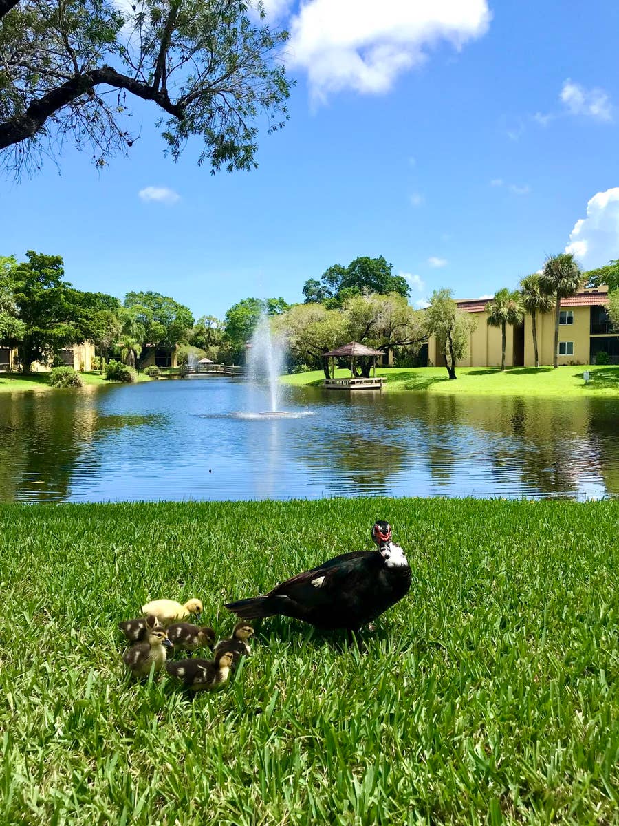 Property photo for 830 SW 9th Street Circle, #APT 201, Boca Raton, FL