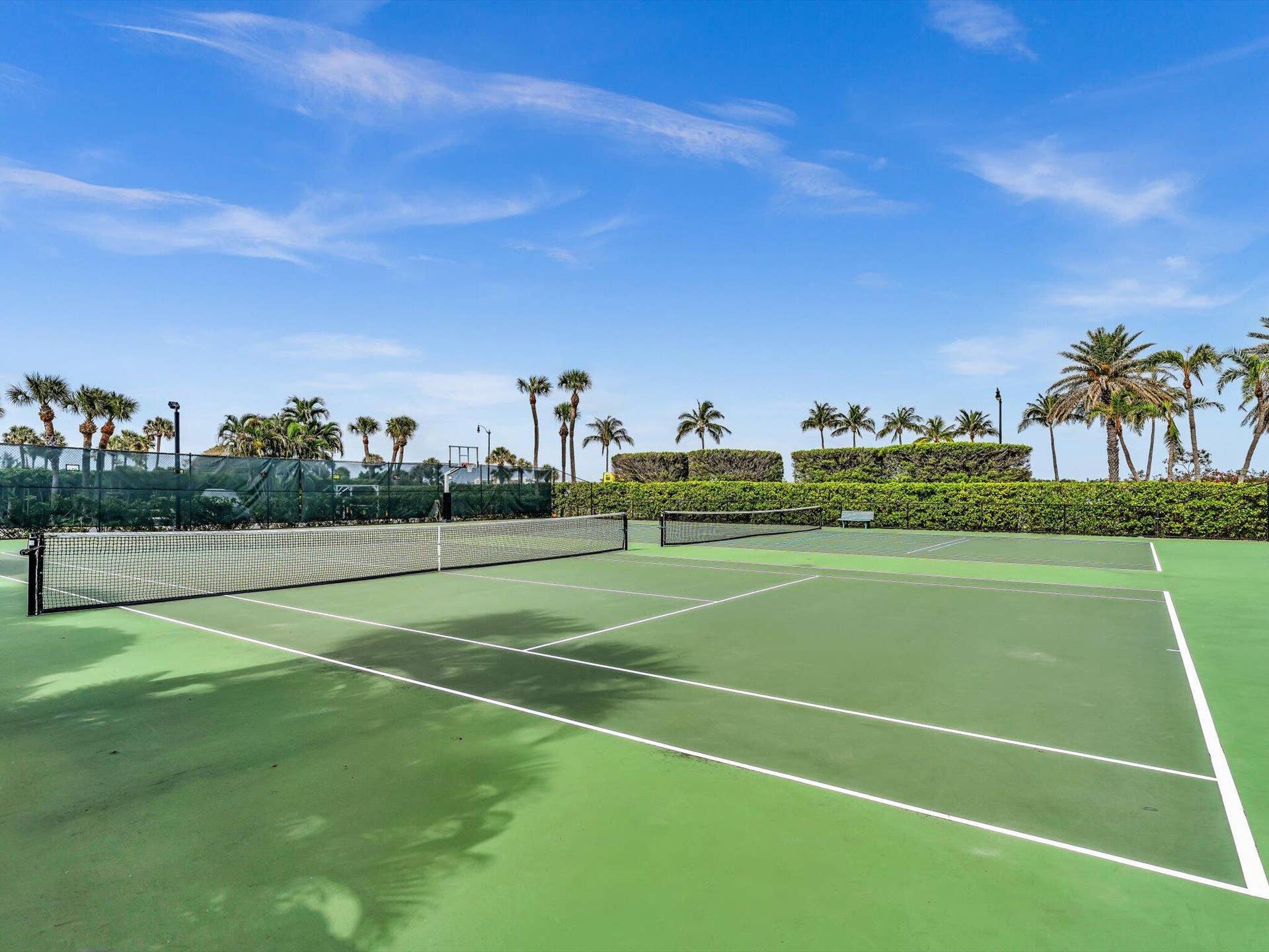 TENNIS COURTS