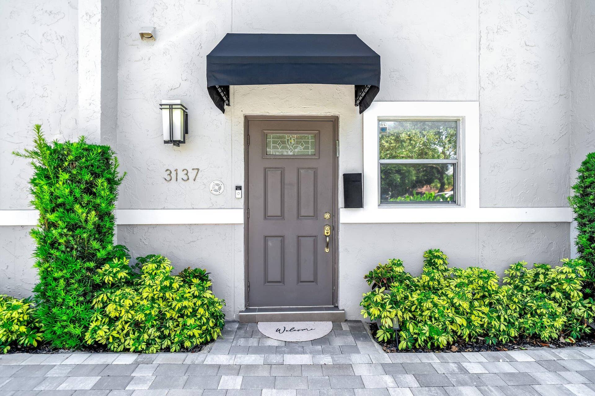 22-web-or-mls-JOY09204