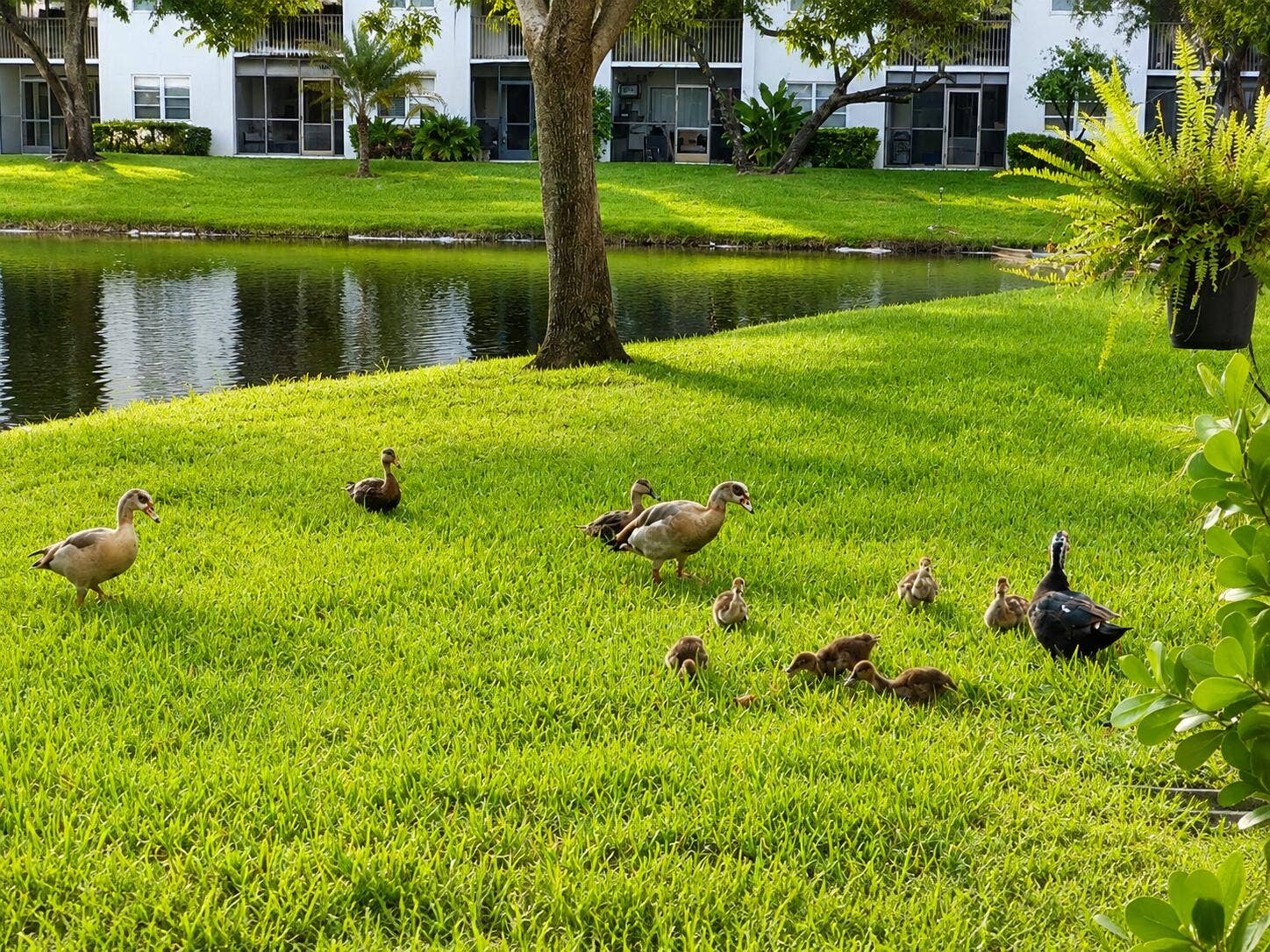 2226 N CYPRESS BEND Drive, #103, Pompano Beach, Pompano Beach, FL 33069 Outdoors