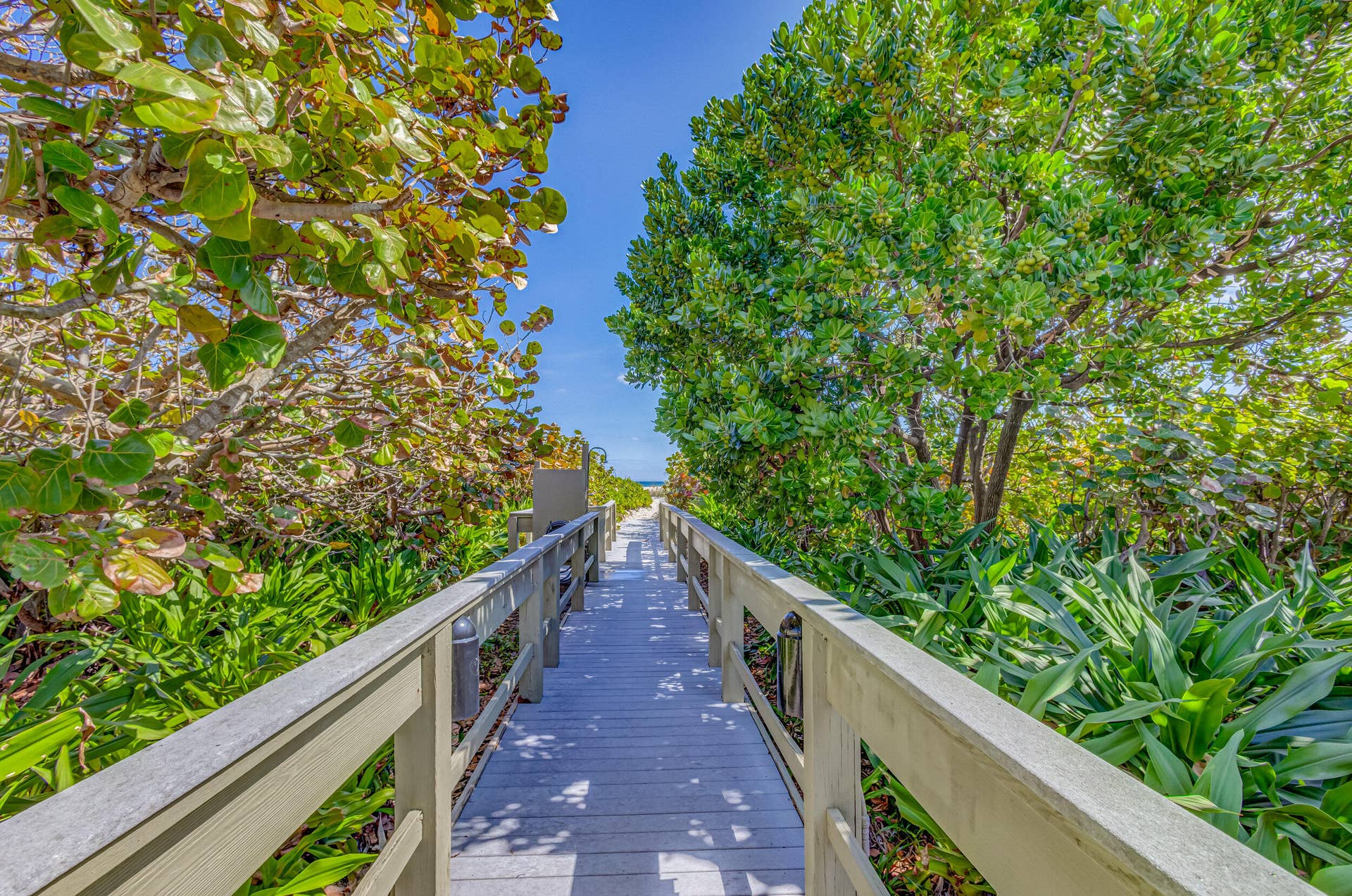 3400 N OCEAN Drive, #1505, Singer Island, FL 33404 BEACH OVER PASS
