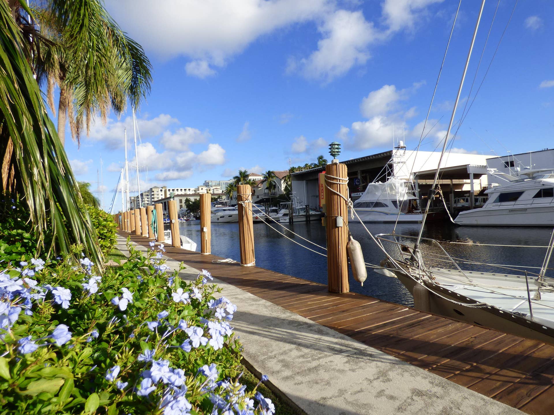 1510 SE 15TH Street, #304, Fort Lauderdale, Fort Lauderdale, FL 33316 Common Dockage when available