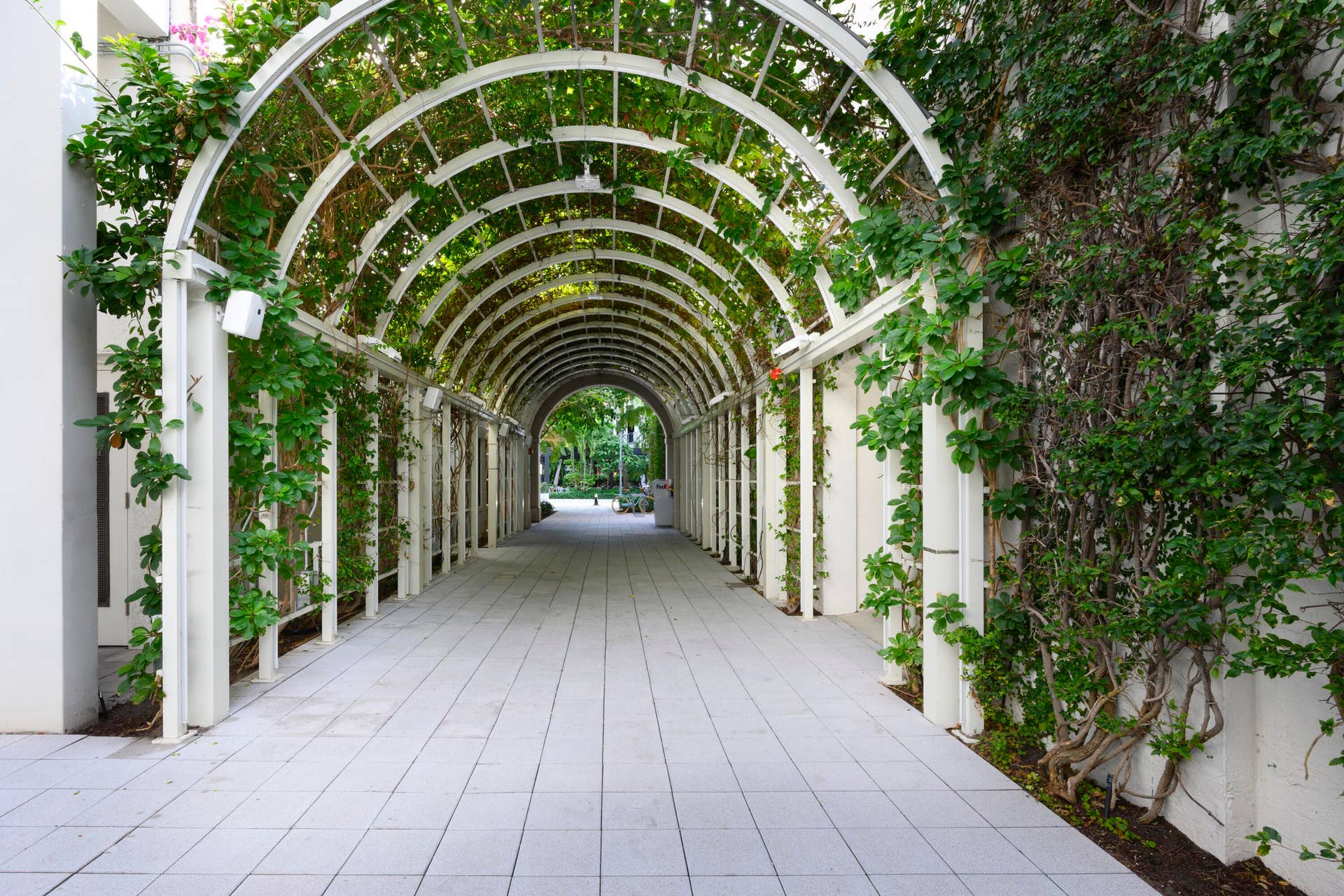 ROSEMARY SQUARE