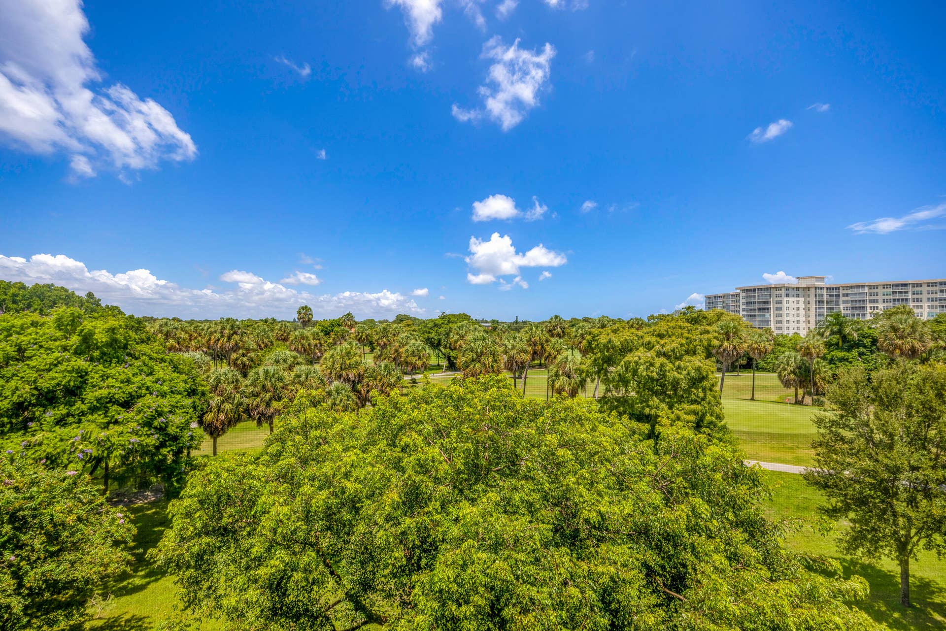 3960 Oaks Clubhouse Drive, #504, Pompano Beach, FL 33069 3960 Oaks Clubhouse Dr-Pompano Beach-Nat