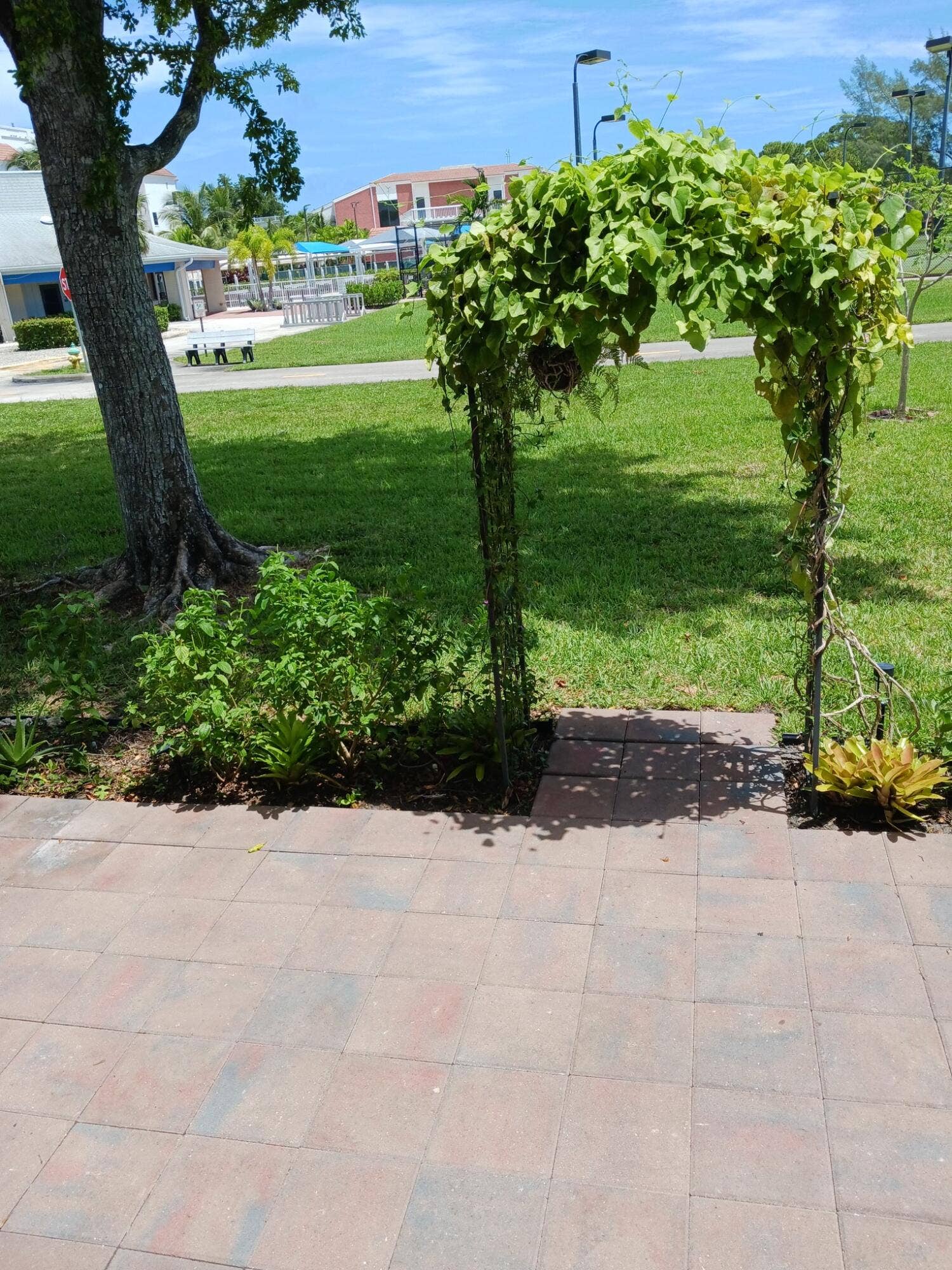 163 LYNDHURST L, #163, Deerfield Beach, Deerfield Beach, FL 33442 20240827_130432