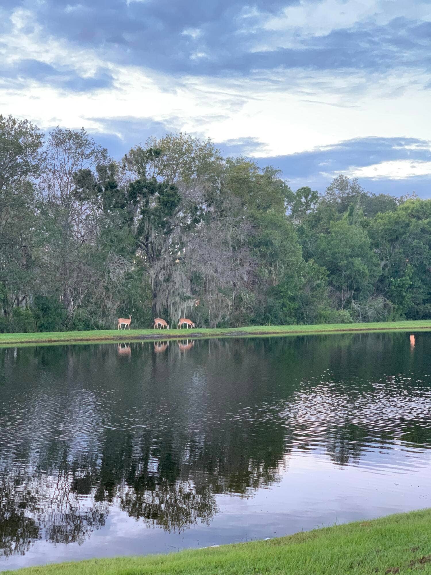 16437 TUDOR GROVE Drive, Orlando, FL 32828 IMG_3183