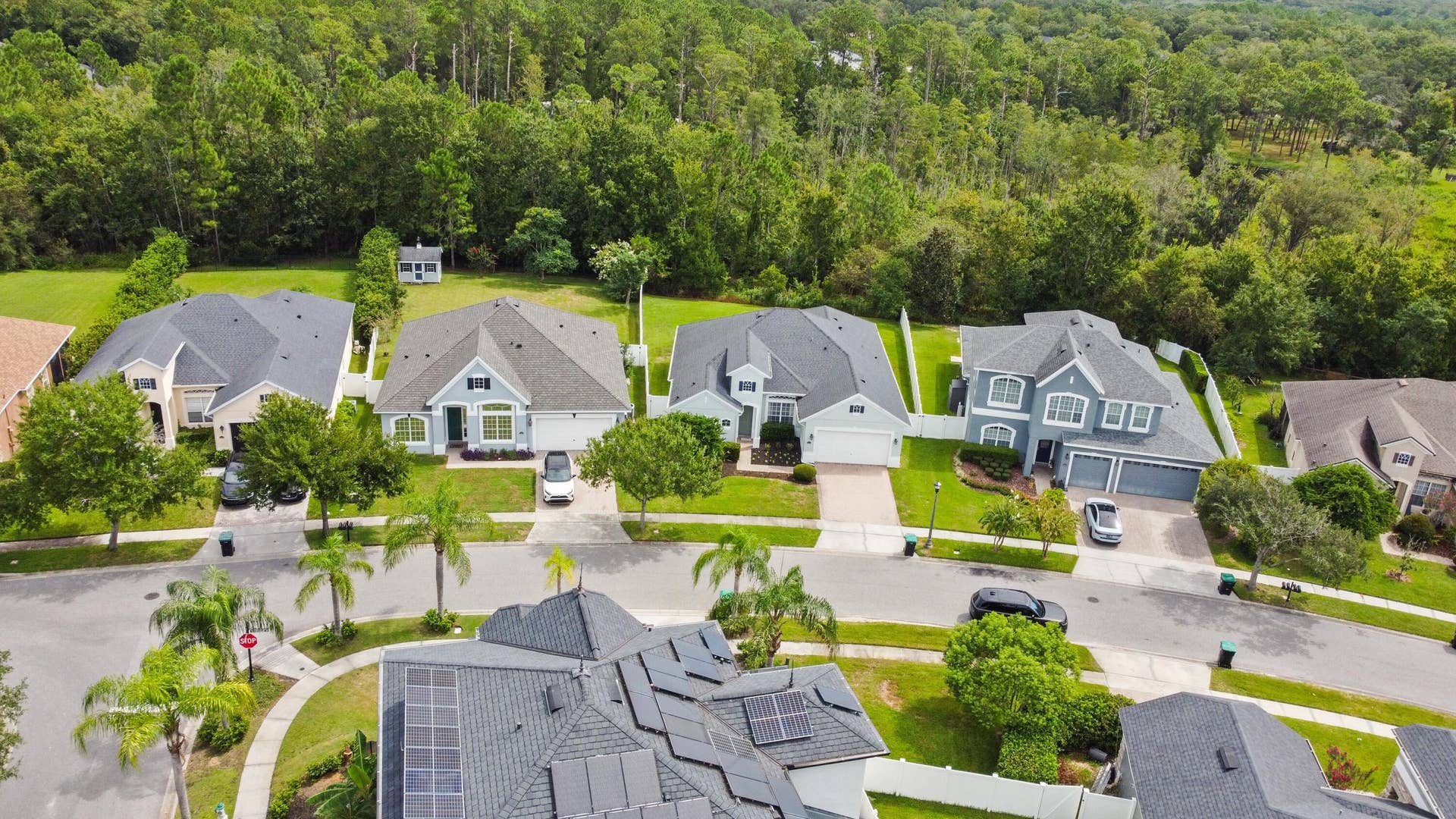 16437 TUDOR GROVE Drive, Orlando, FL 32828 Residential neighborhood with varied architectural styles, mature landscaping, and tree-lined backdrops