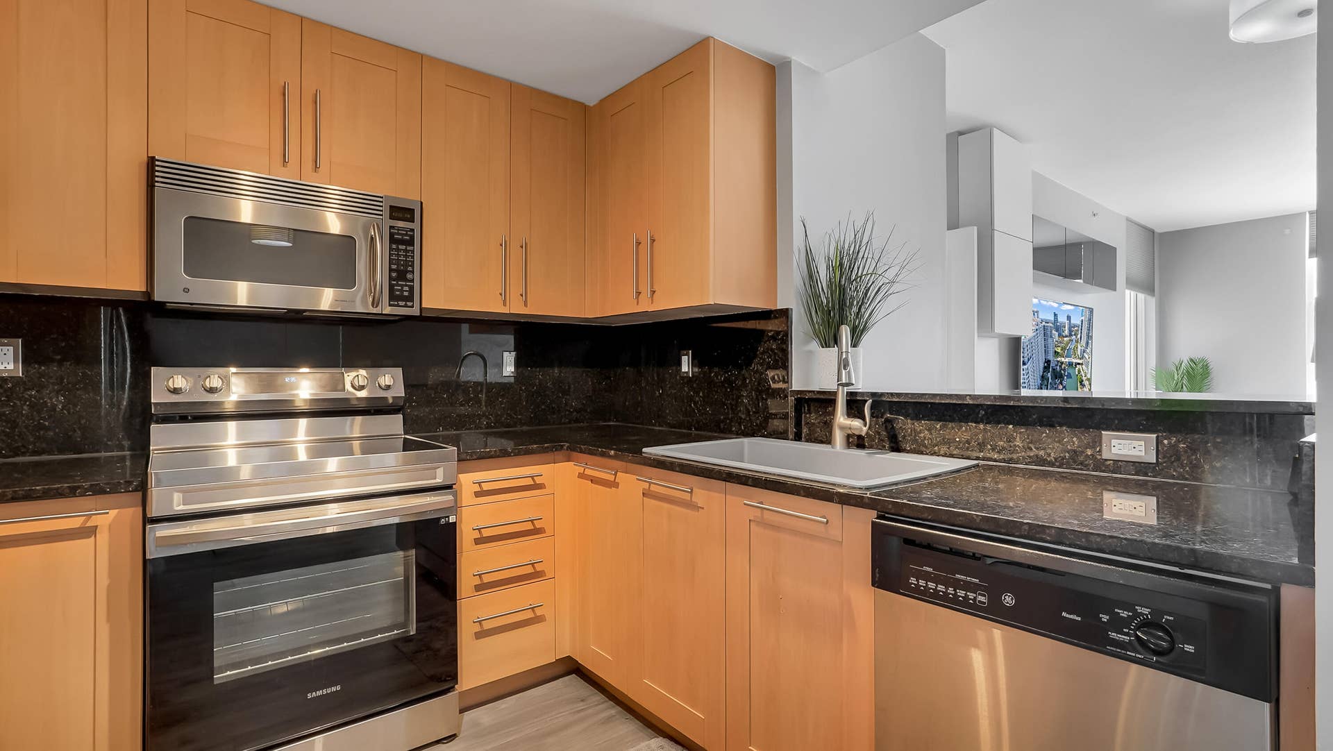 511 SE 5th Avenue, #908, Fort Lauderdale, FL 33301 DSC05705