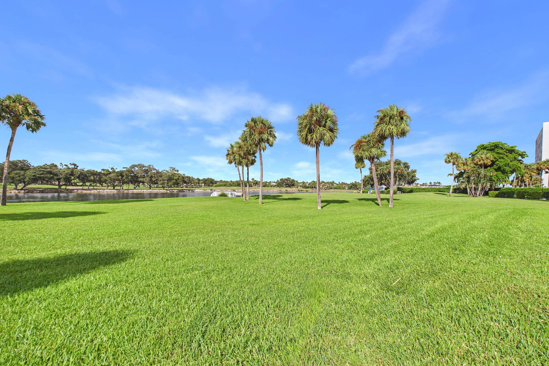 336 GOLFVIEW Road, #708, North Palm Beach, FL 33408 Open Lawn Area