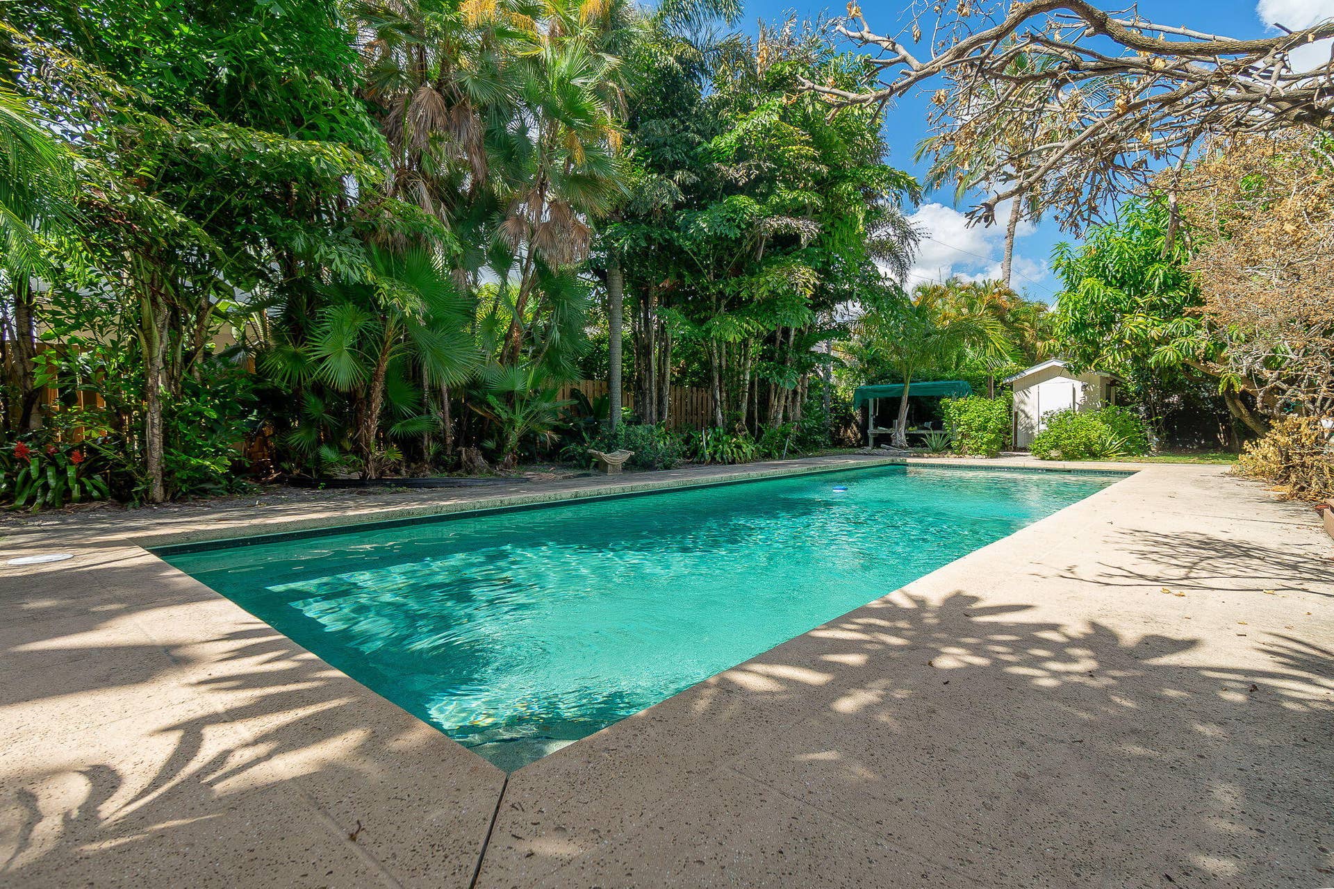 44-web-or-mls-DSC08538