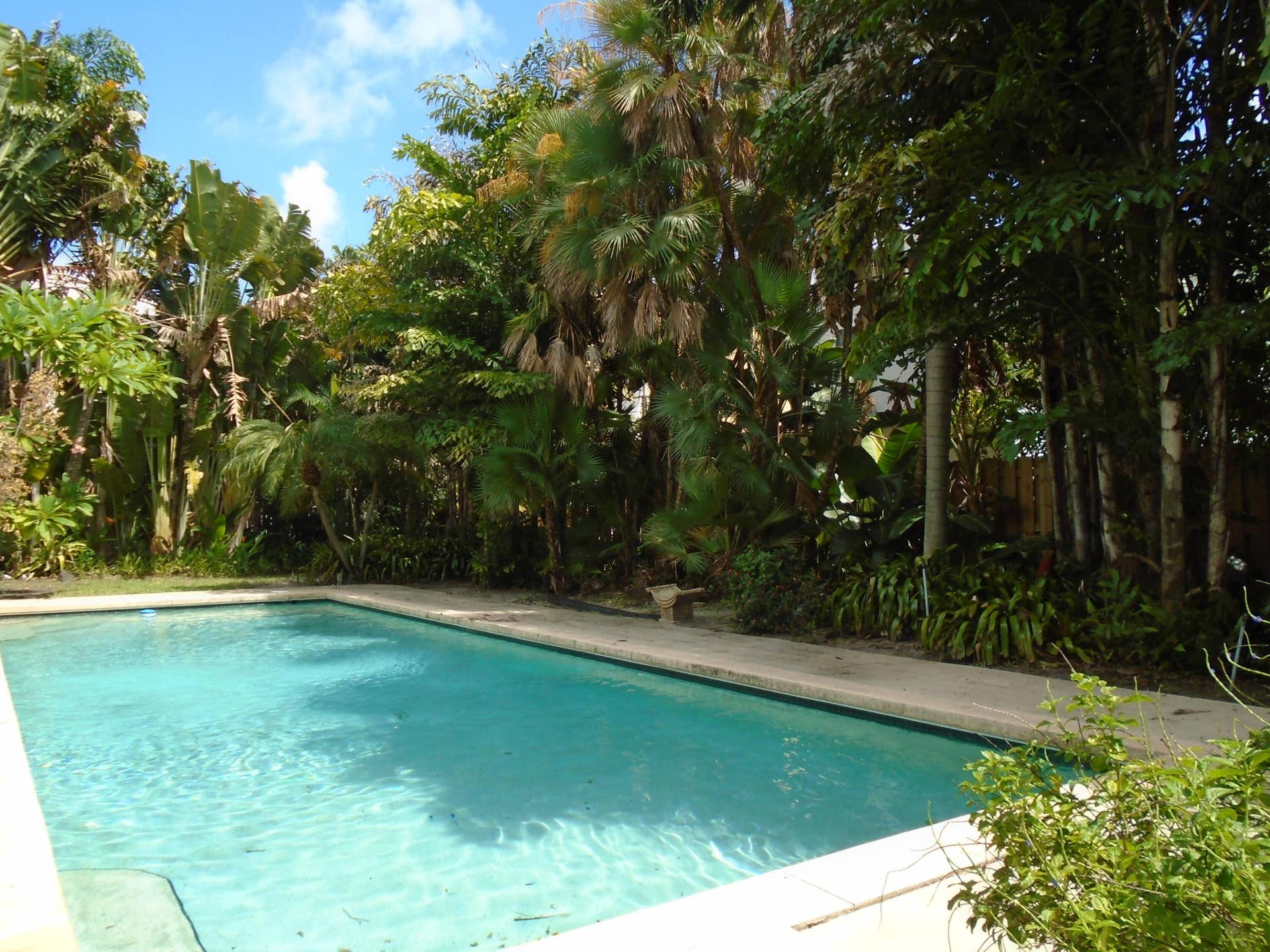2-web-or-mls-DSC08548