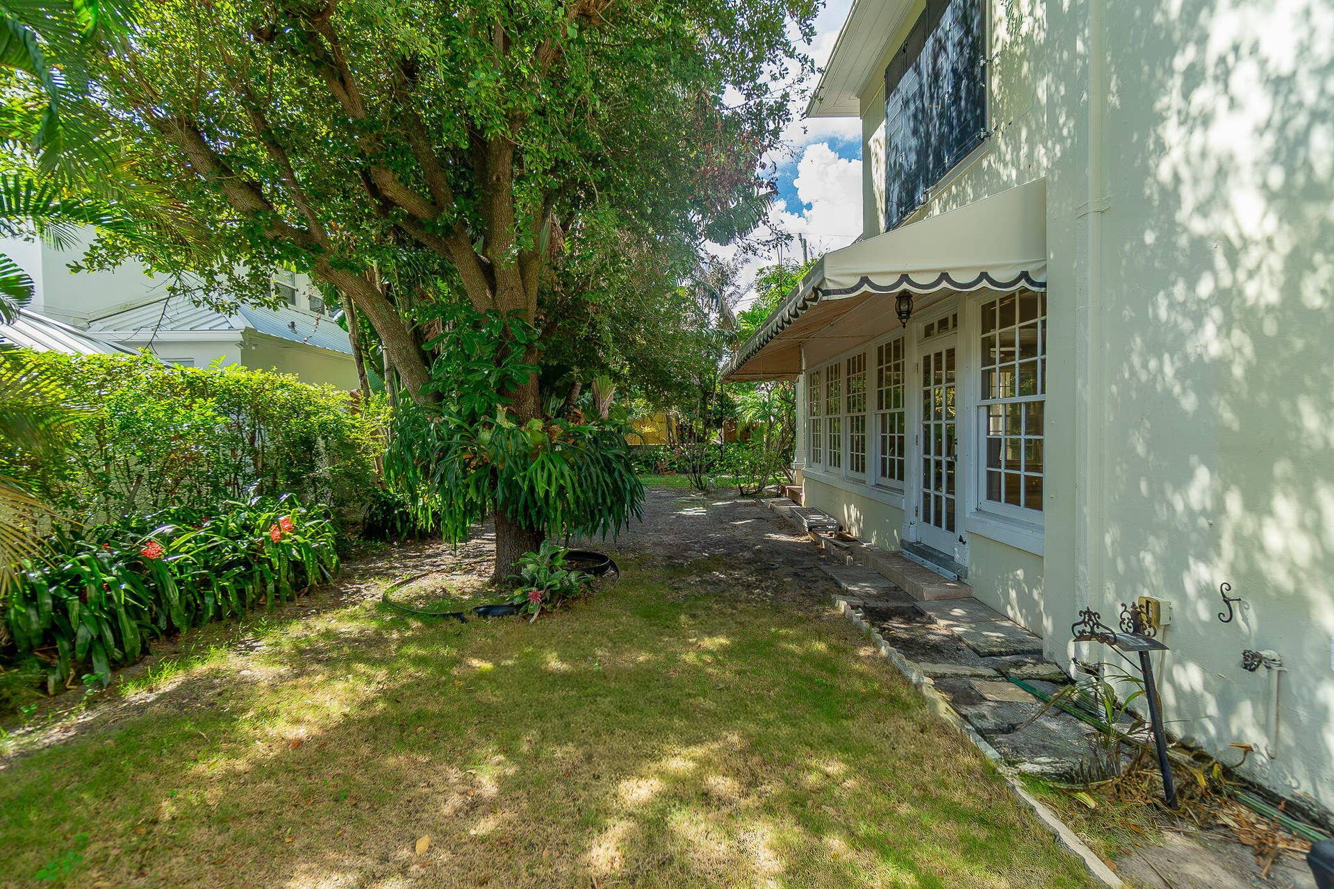 49-web-or-mls-DSC08533