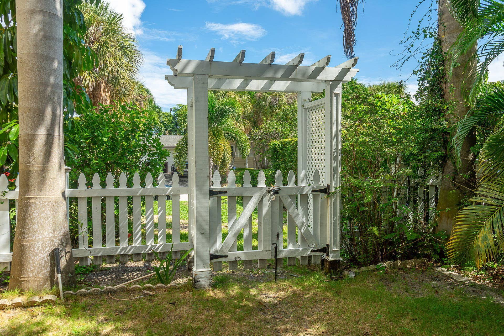 51-web-or-mls-DSC08532